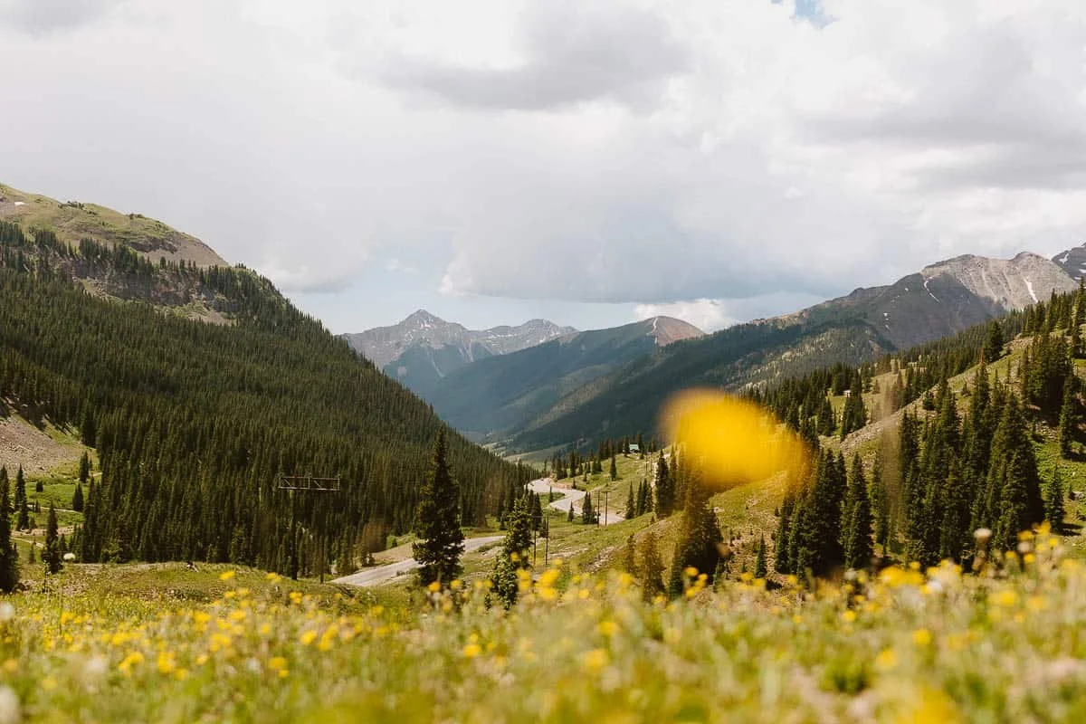 wildflower elopement Silverton Colorado San Juan Mountains