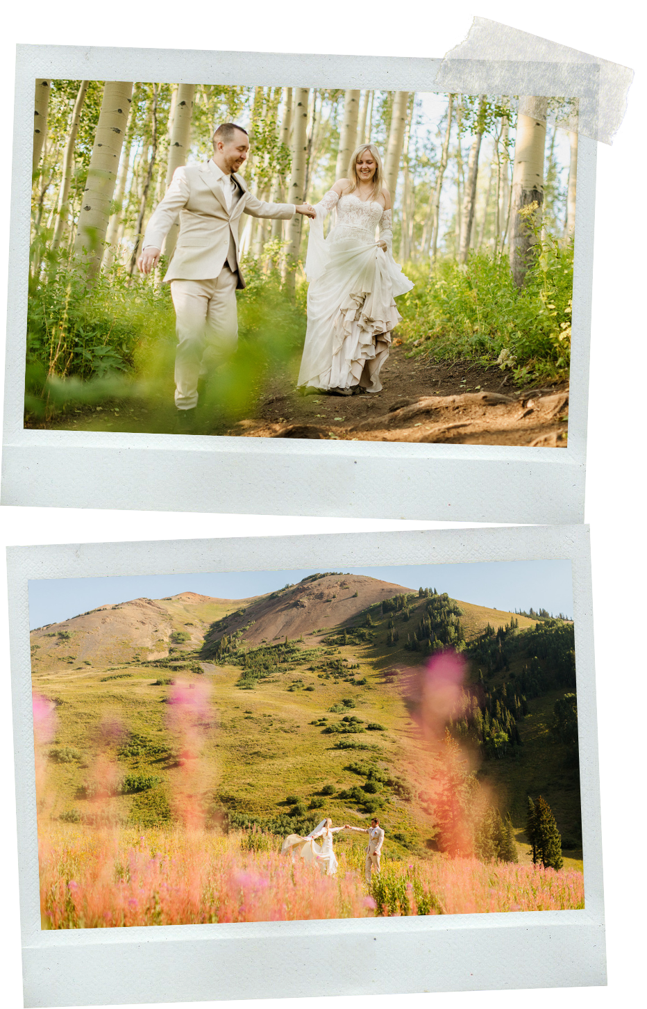 Two couples holding hands in Colorado wildflowers during their elopement