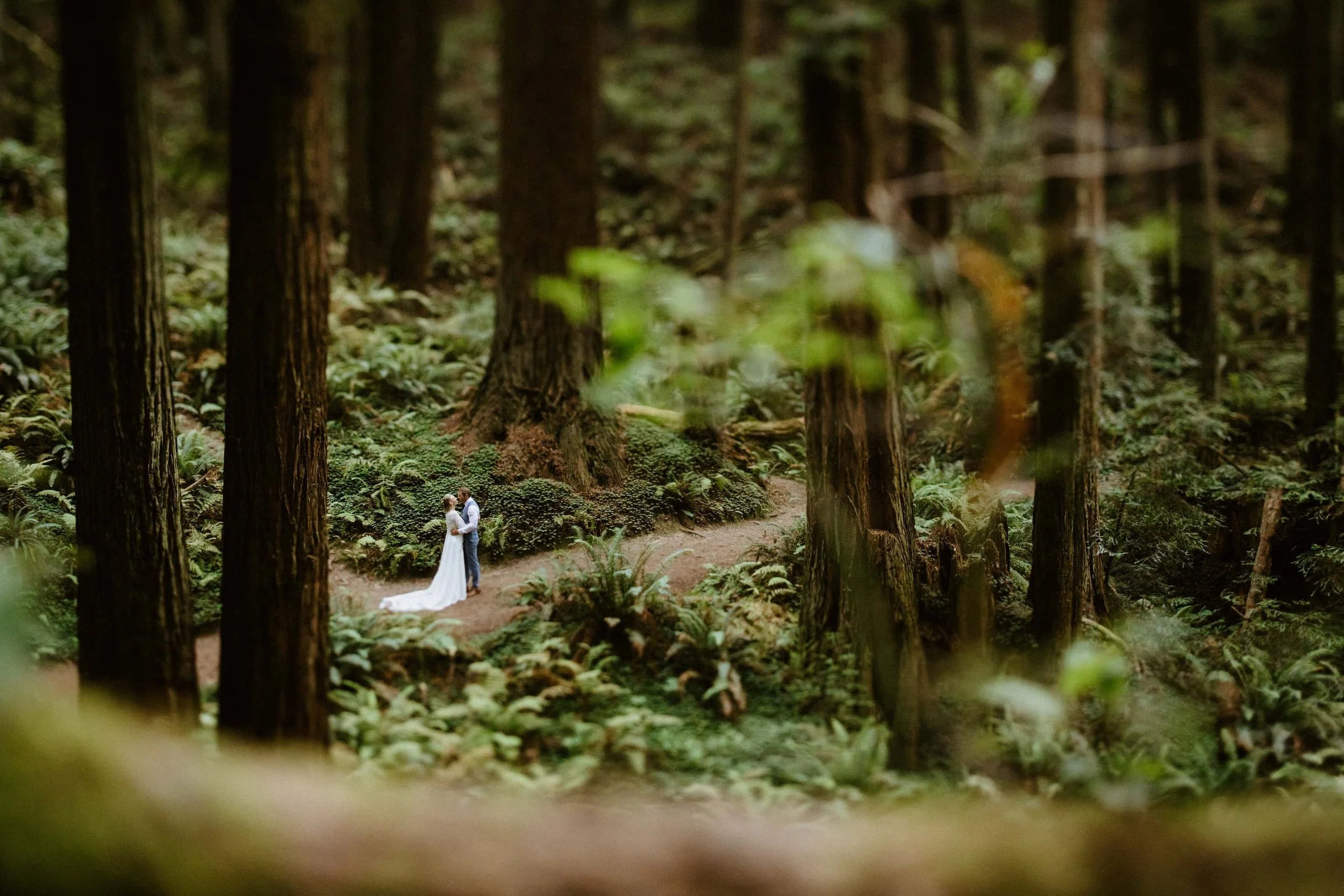 Couple embracing among redwood trees and ferns, with a long white elopement dress trailing on the forest floor