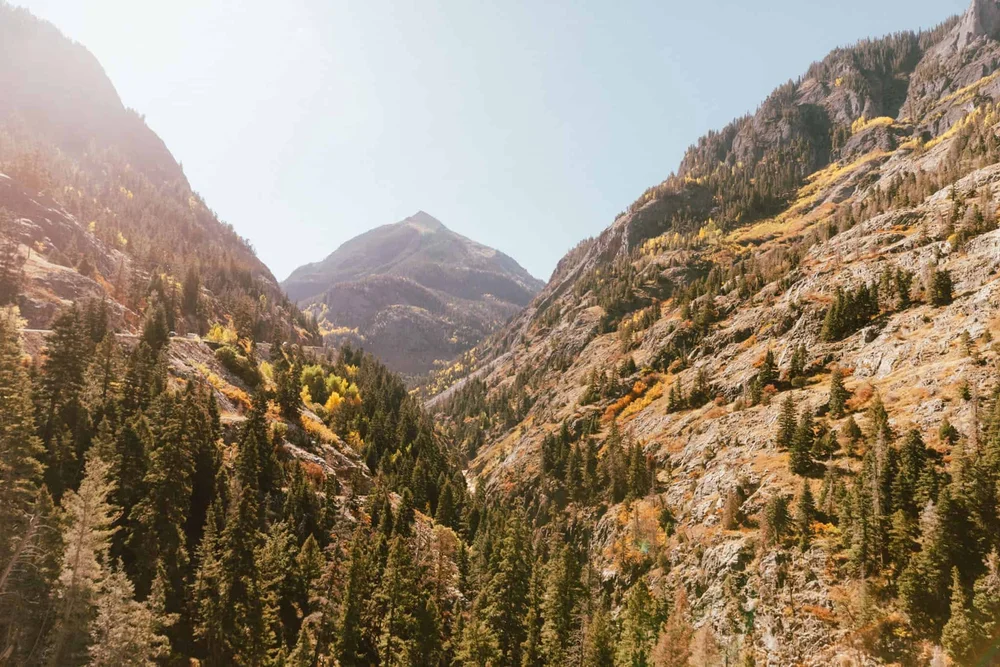A canyon view with golden fall color on the slopes below a peak near Ouray, Colorado