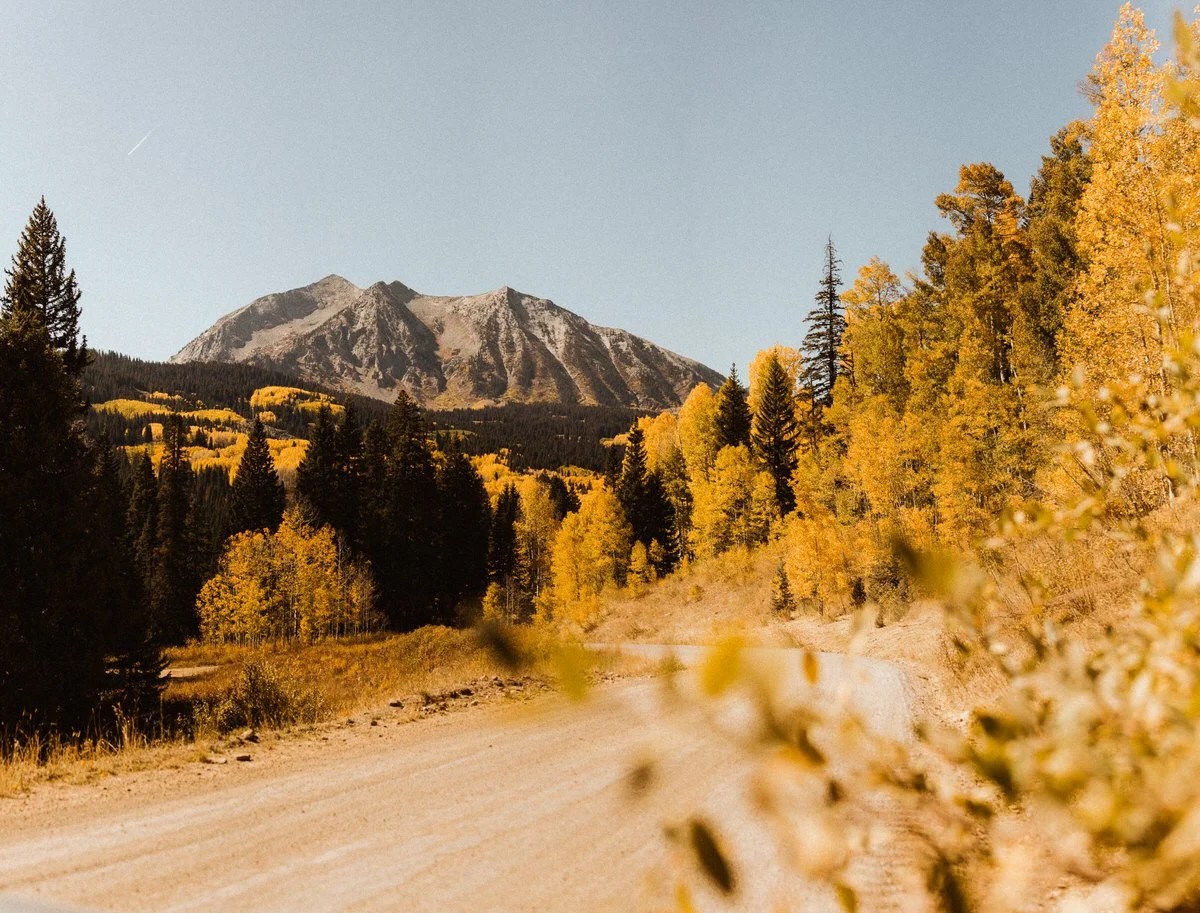 fall foilage from Kebler Pass in Crested Butte