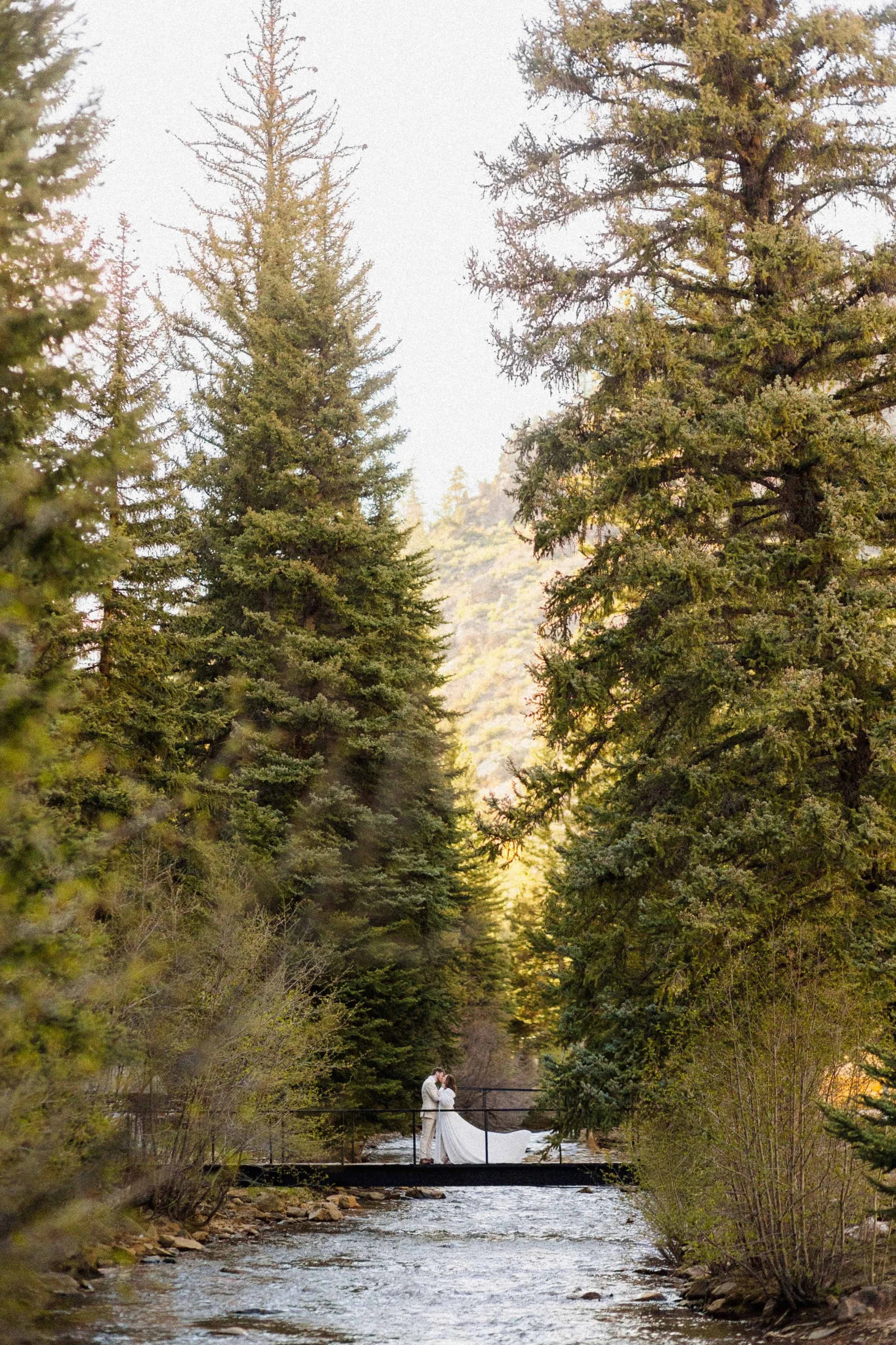 Lost Fork Basecamp Private Cabin Getaway Elopement Location with tall forest trees and river bridge