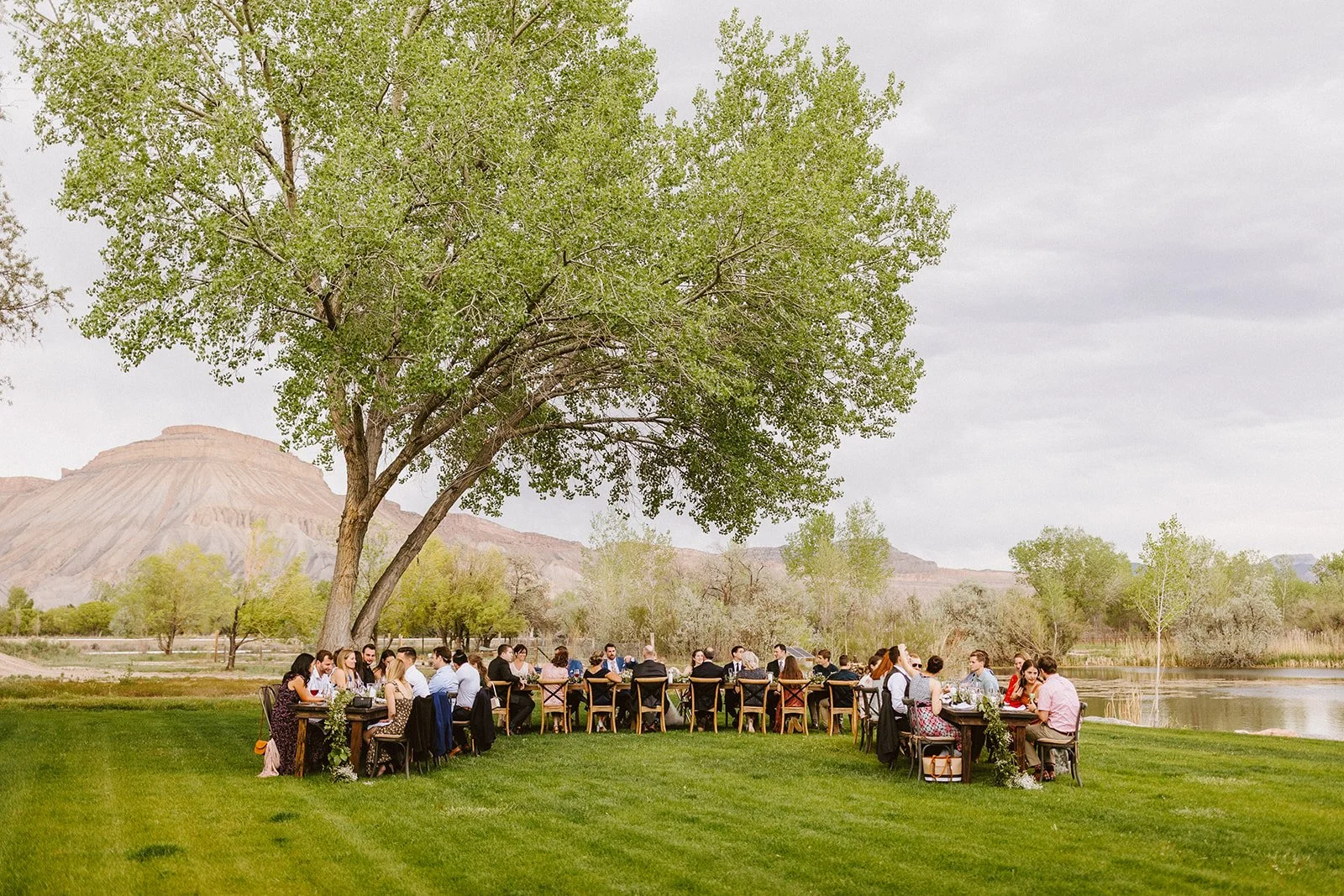Twee Wingerd Plaas Winery Wedding in Clifton