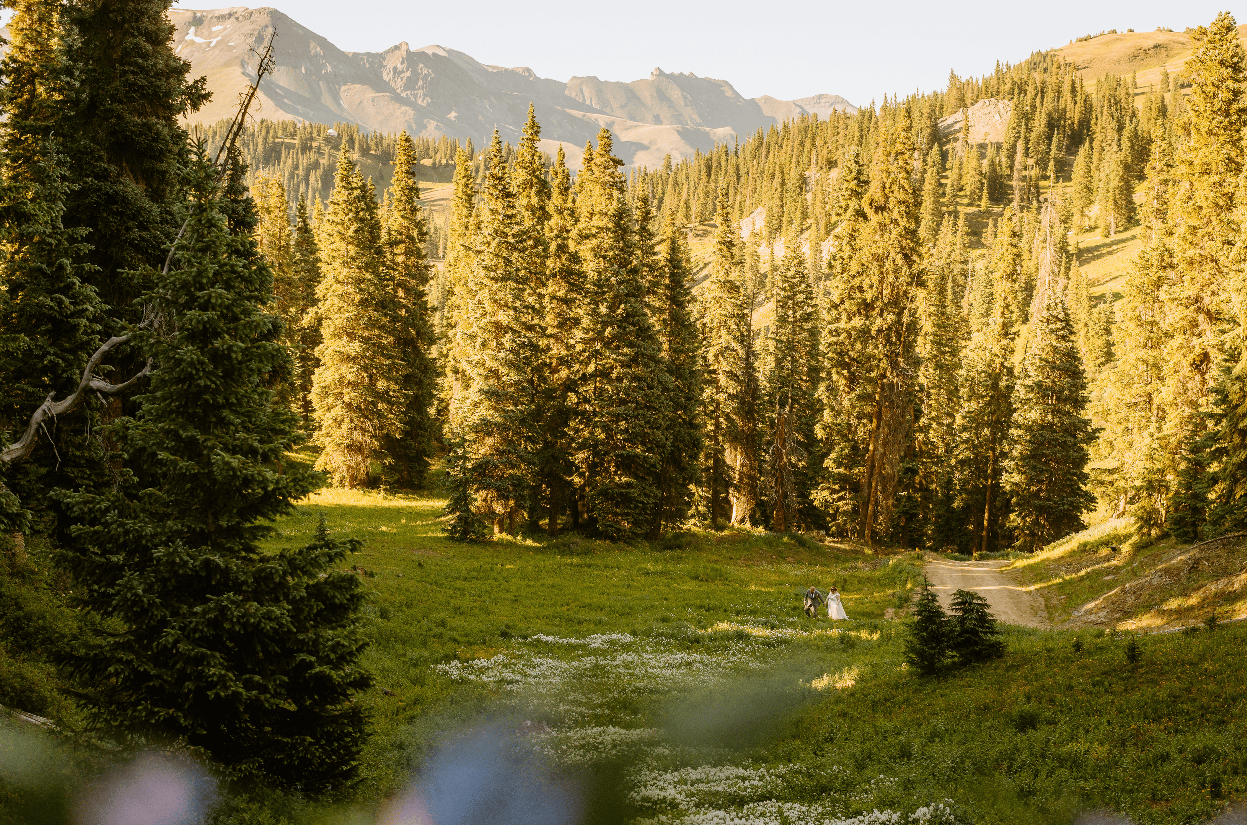 Bride walking along a mountain meadow trail in Silverton, Colorado during a San Juan Mountains elopement