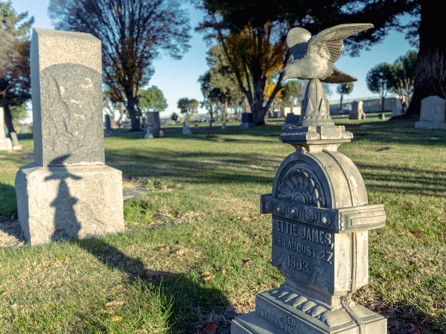 King City Cemetery District