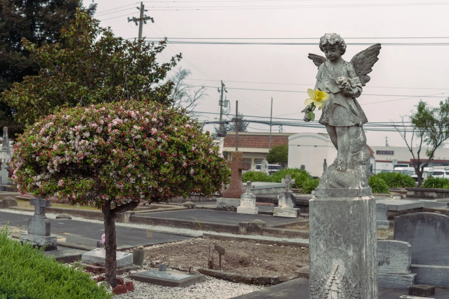 Watsonville Catholic Cemetery