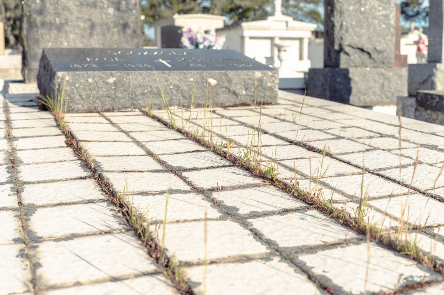 City of Monterey Cemetery, Cementerio El Encinal