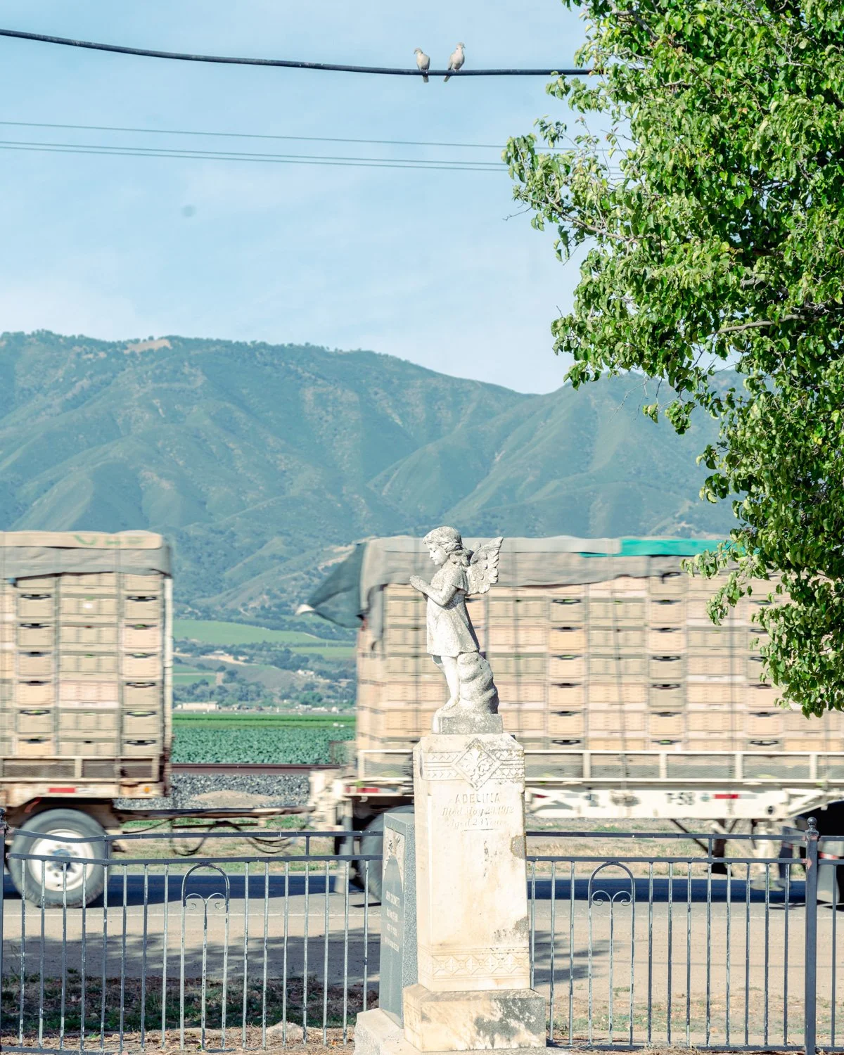 Gonzales Cemetery District