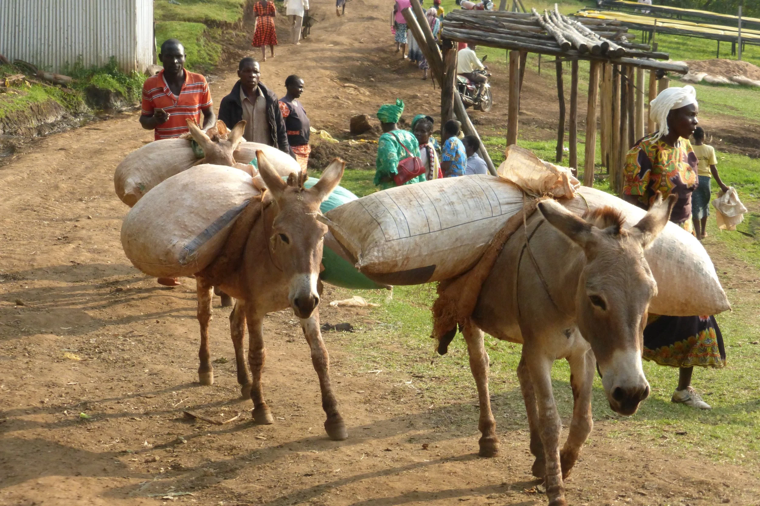 Basicneeds Approach Basicneeds Us