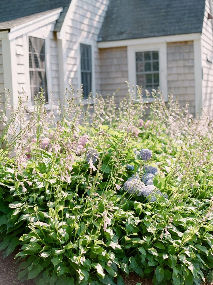 nantucket10.jpg