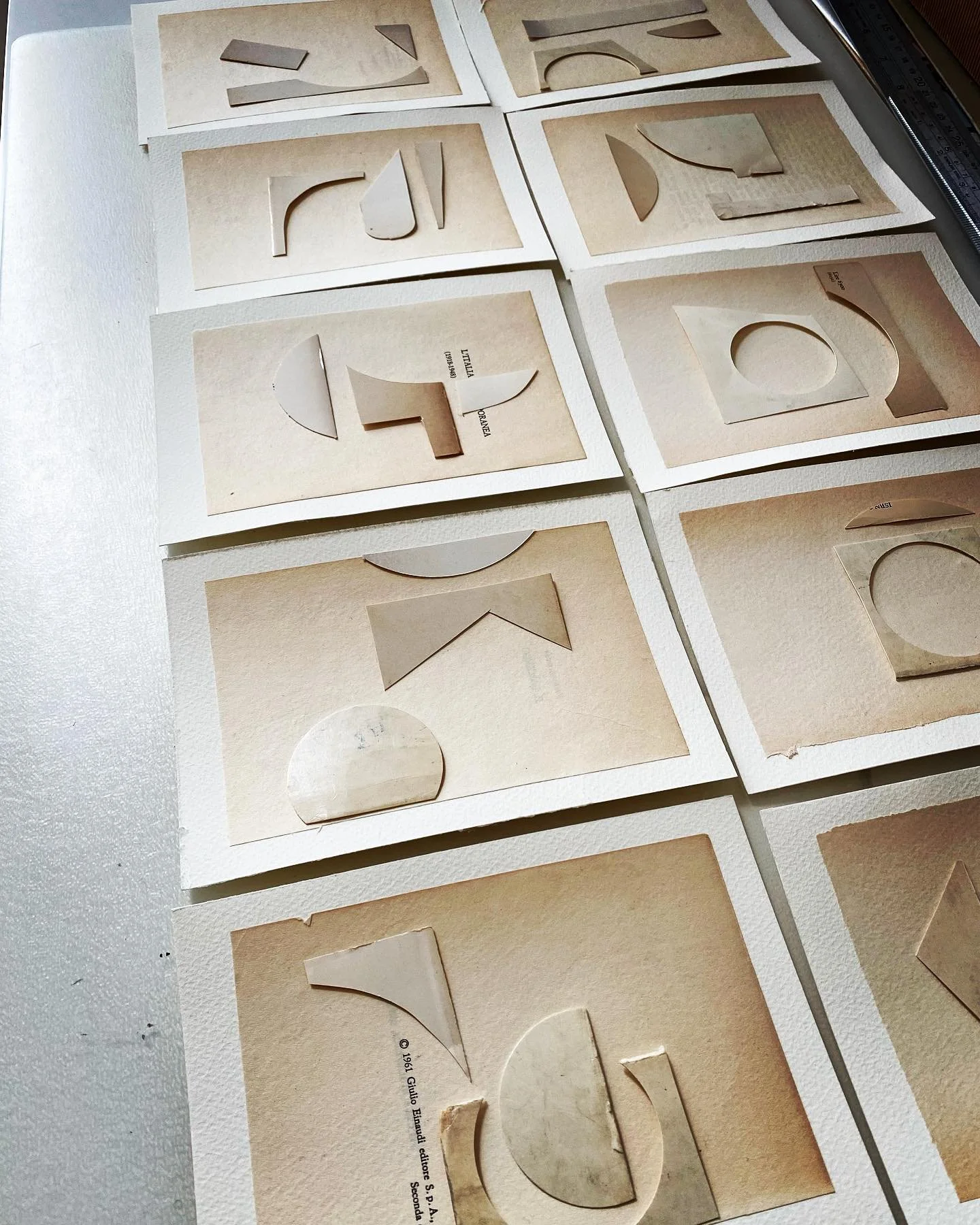 278500516_10159025565912736_598224677174177495_n copia.jpg