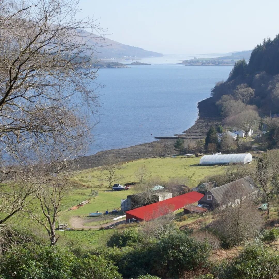 The farm and the beach. Feeling so uplifted by recent Spring weather and grateful for peace and tranquility in this crazy world. 
.
.
#farmlife #remote #argyllgrowntea #argyllsecretcoast #scotstea #scottishteagrower #smallfarm #smallwoodland #lochrid