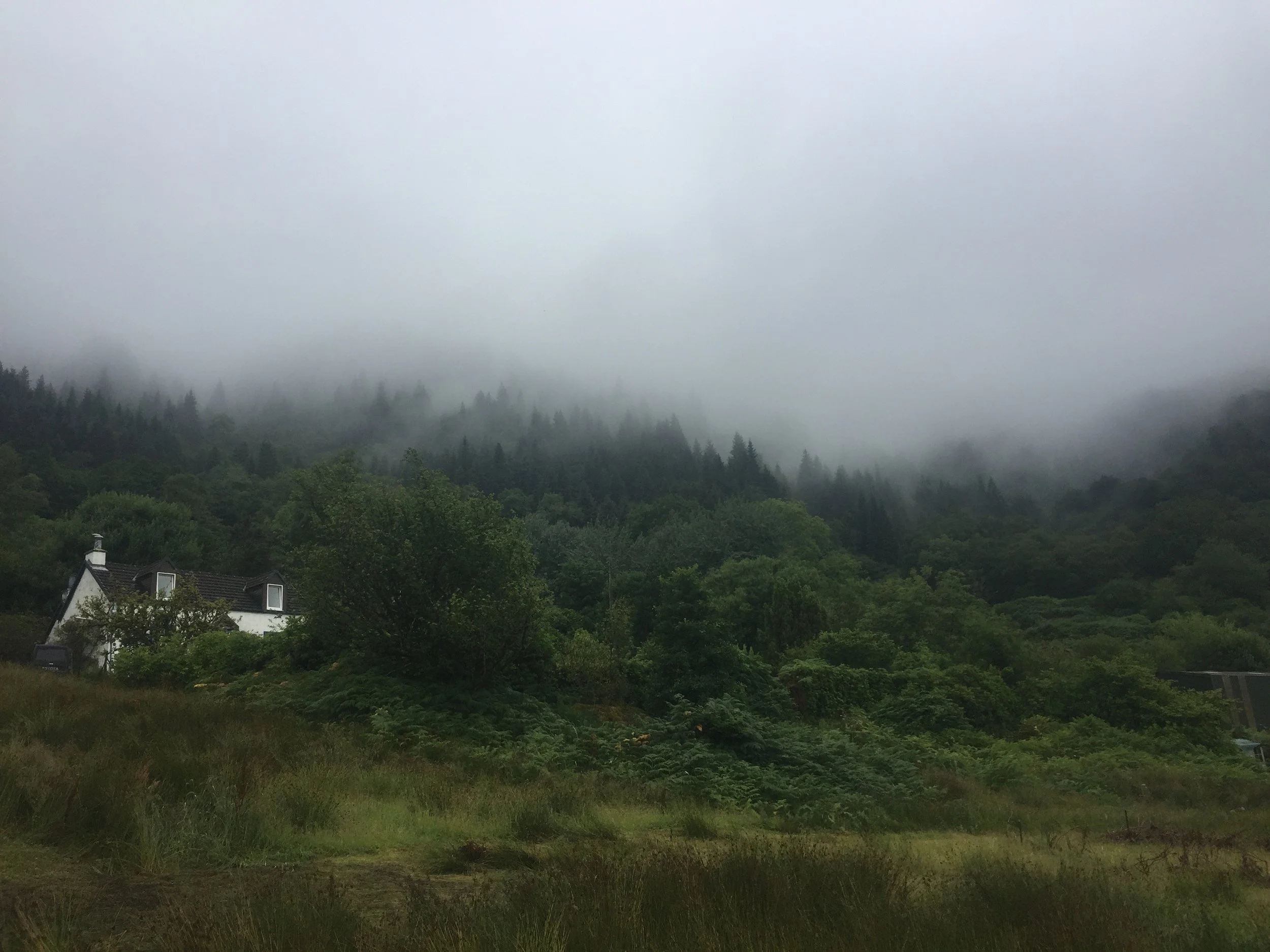 caladh misty hill.JPG