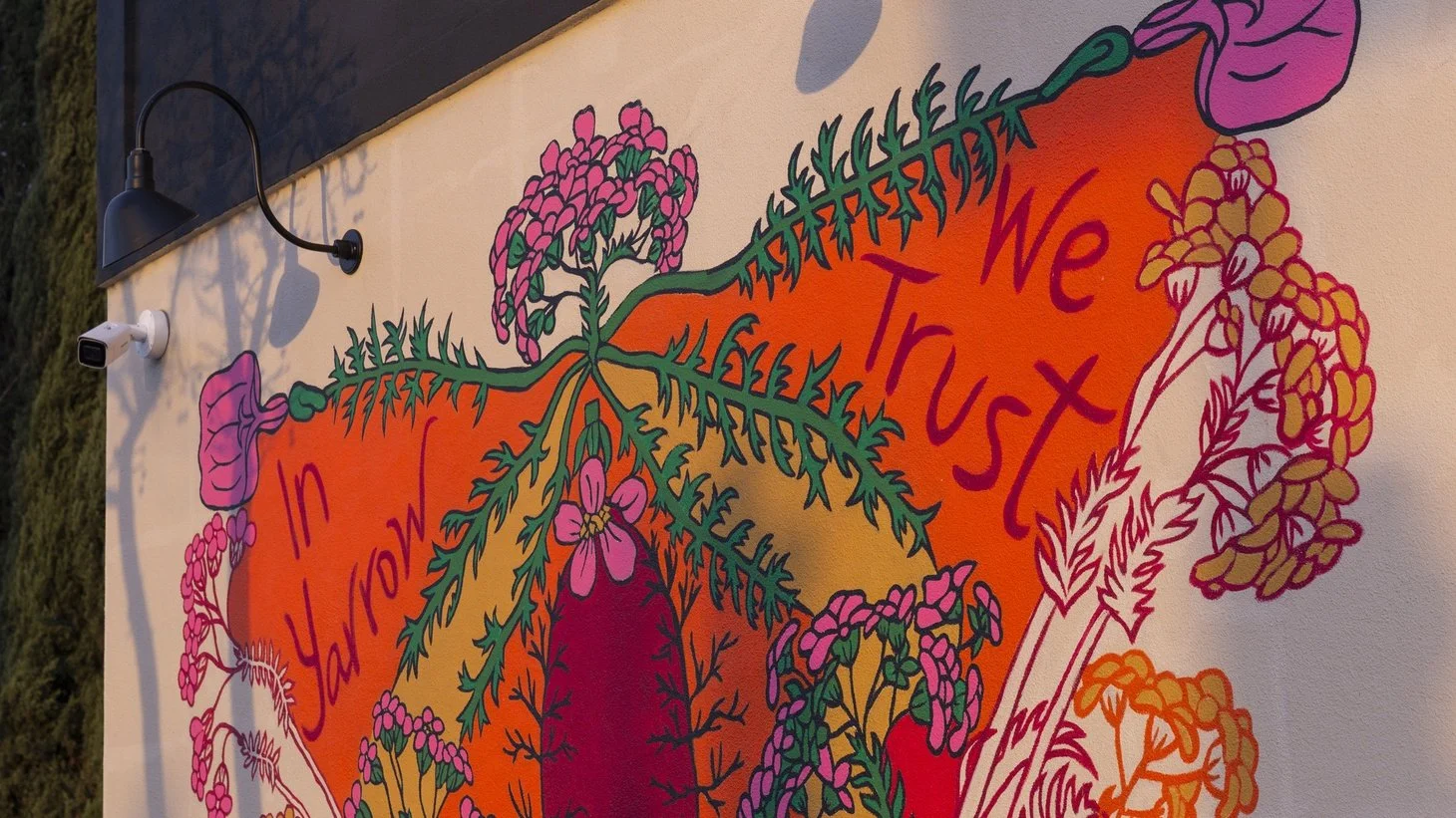 Carolina Caycedo's painting In Yarrow We Trust