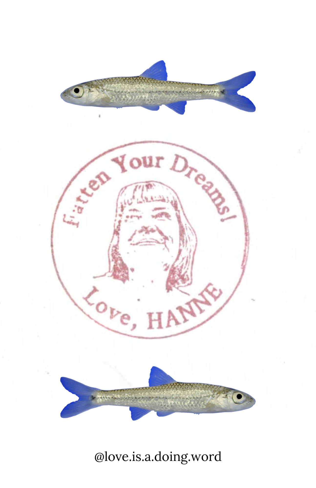 12.png