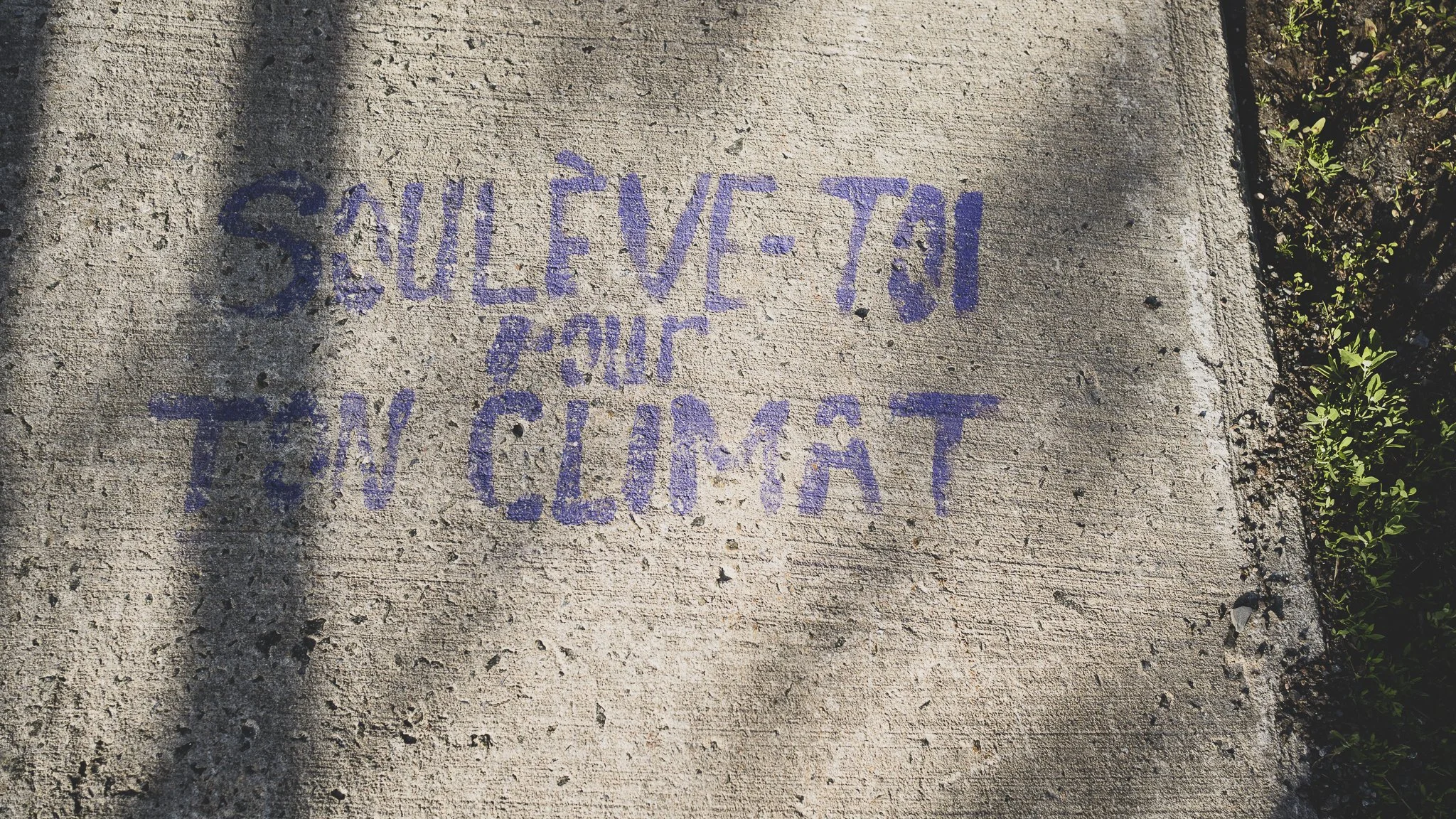Message écrit à la craie violette sur un trottoir en béton, indiquant 'Sauf Vive-Tai, en clair, en clignant.'