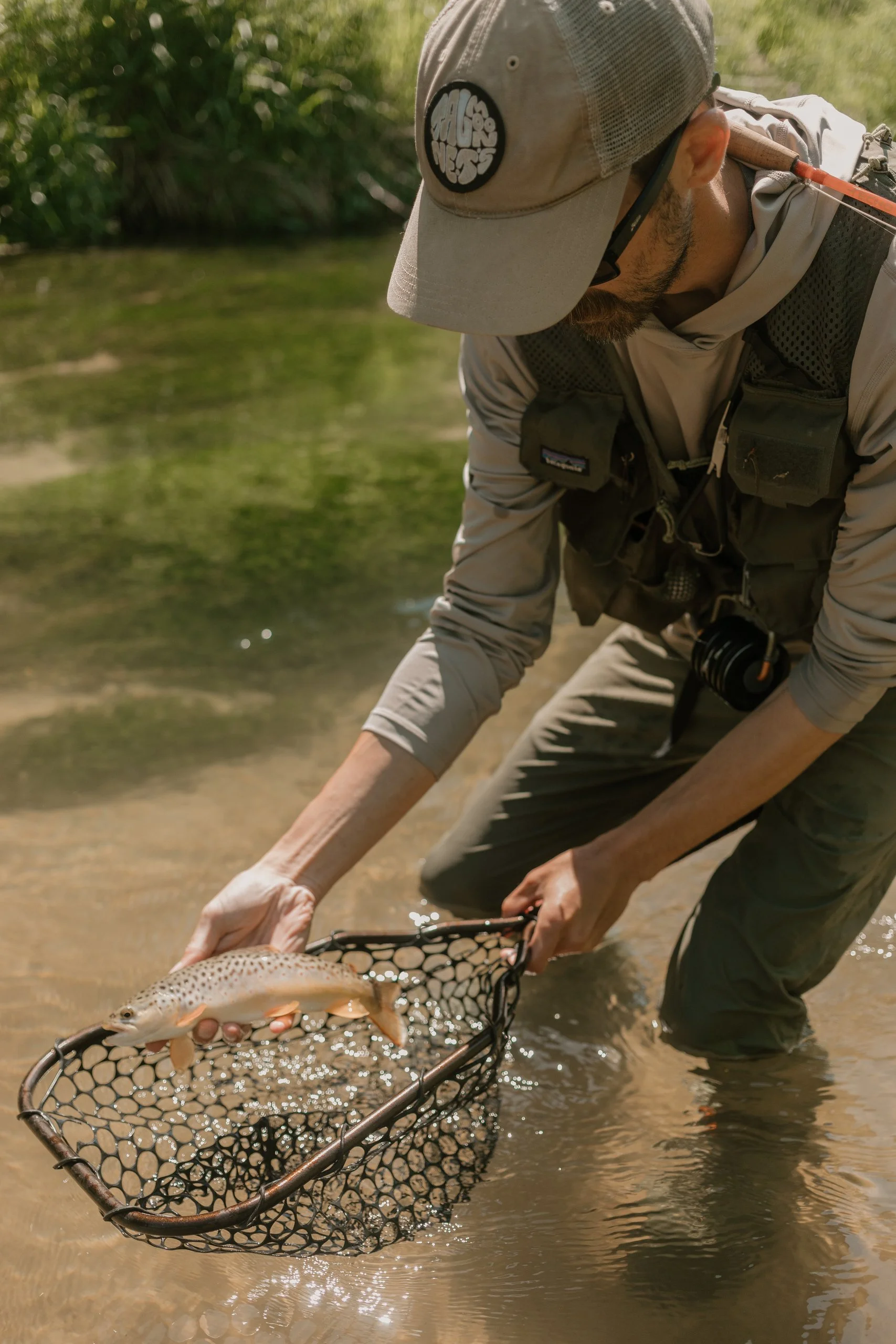 A person wearing a gray cap and outdoor gear is kneeling in shallow water, holding a fishing net with a fish inside it.
