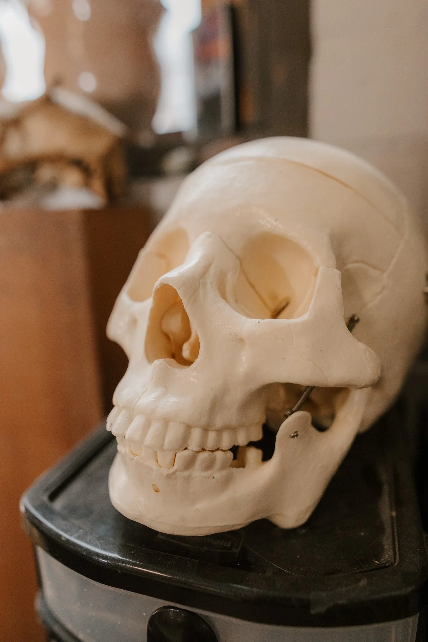 A human skull model resting on a black surface, with a blurred background of wood and other objects.
