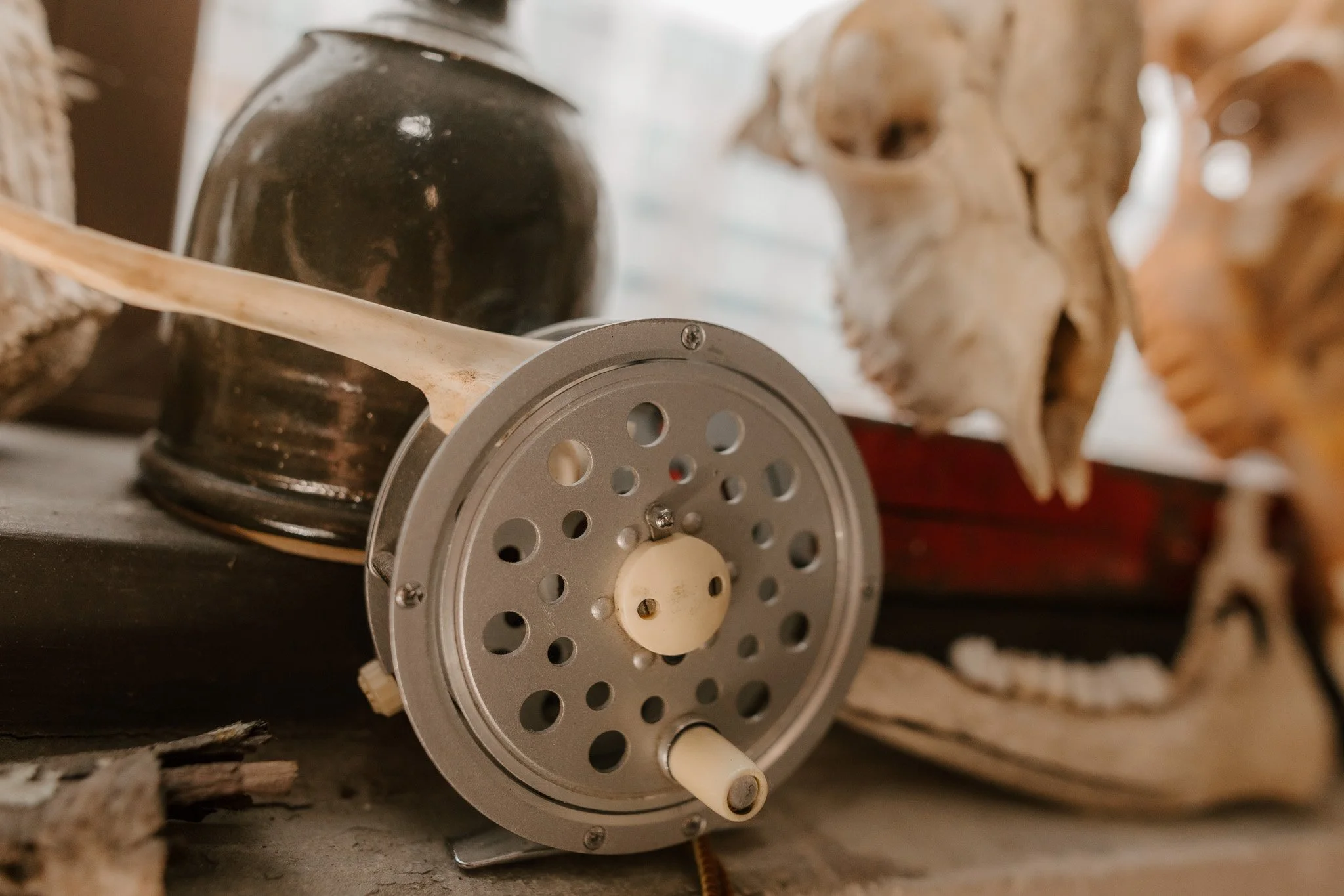 Close-up of a vintage fly fishing reel with a skull in the background.