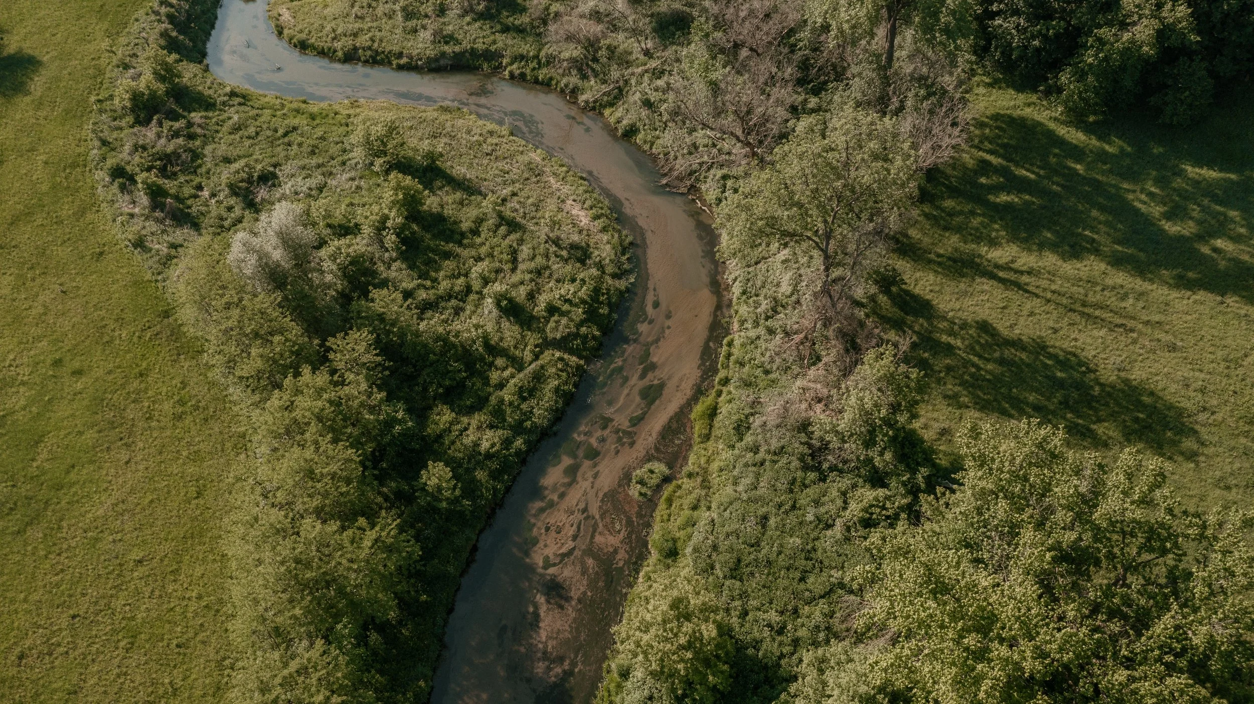 Aerial view of a winding river flowing through green grassy fields and trees.