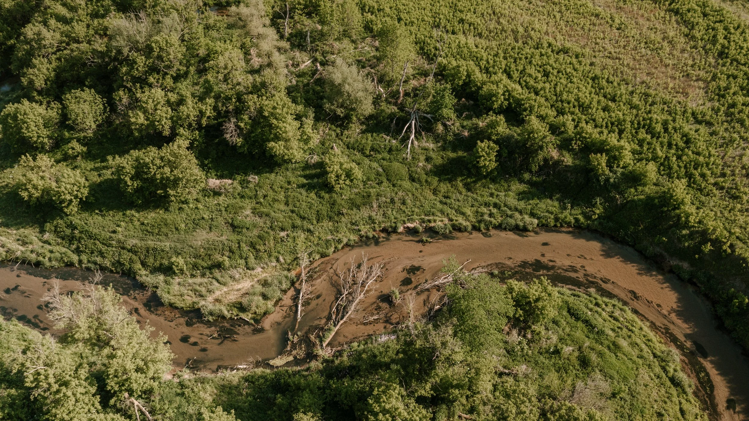 An aerial view of a river winding through a dense forest with a muddy shoreline.