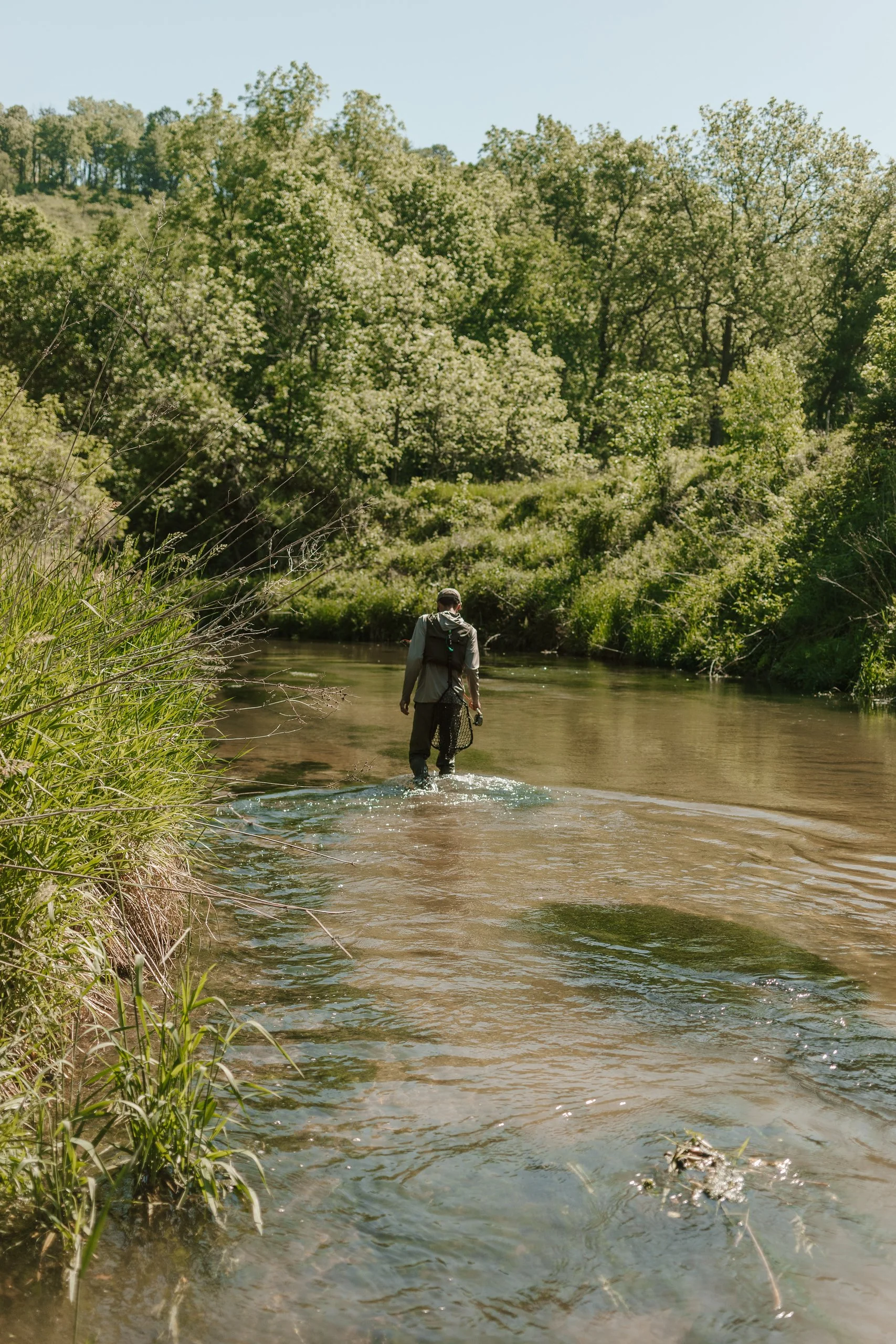 A person wearing waders and a backpack walking through a shallow river surrounded by lush green trees and bushes on a sunny day.