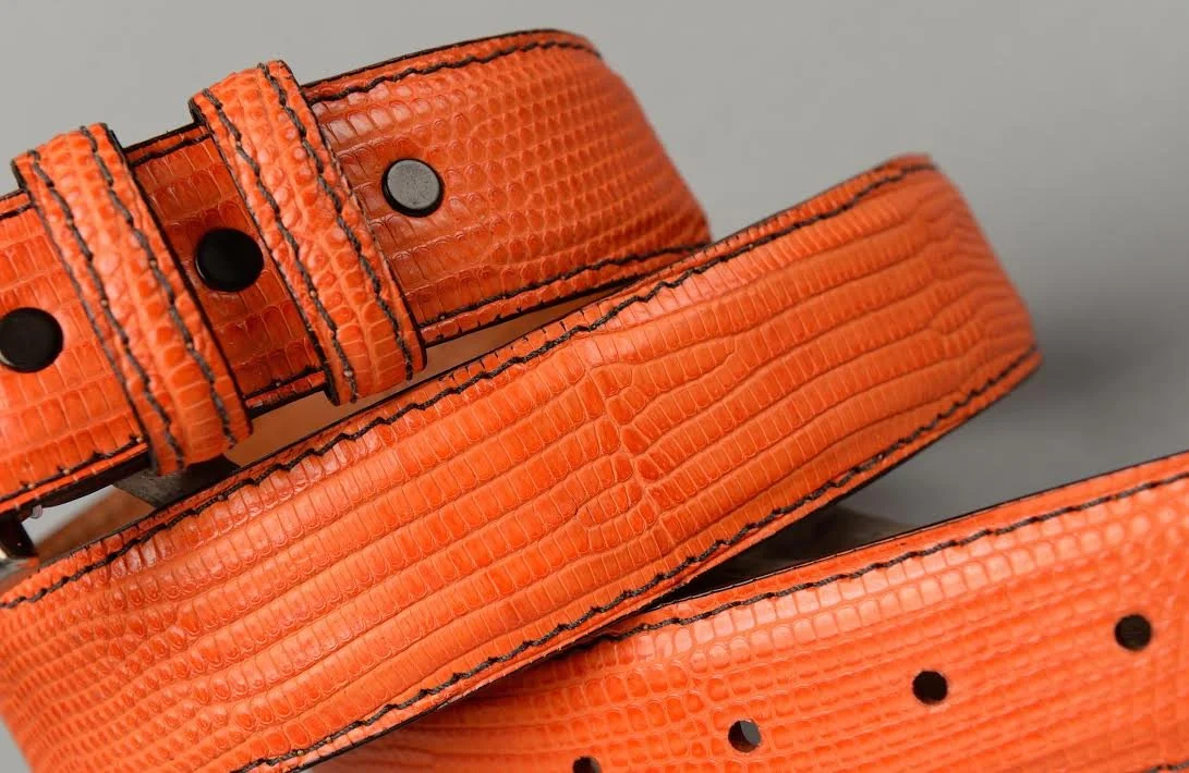 Orange Lizard (2).jpg
