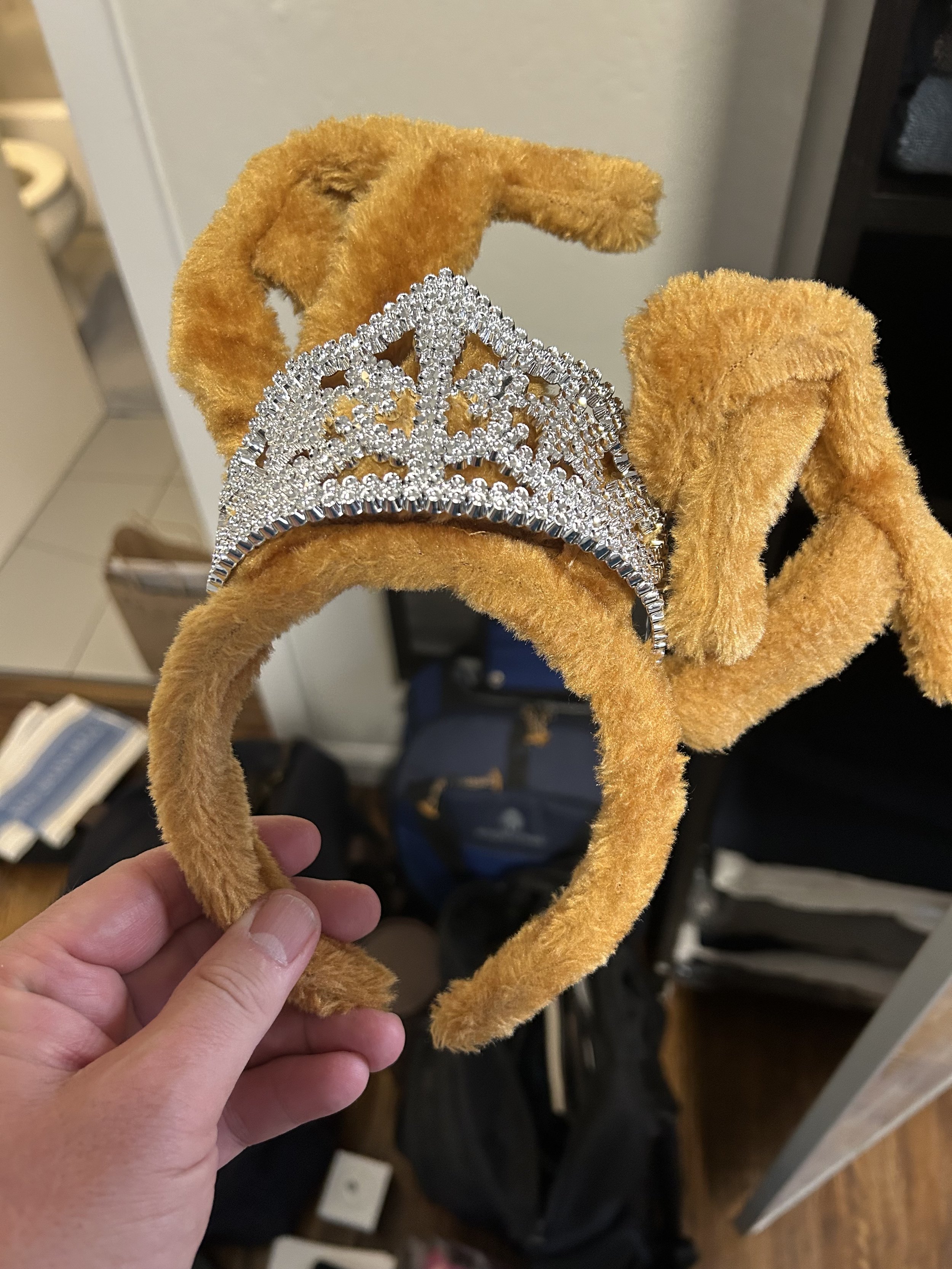 Picture of plush reindeer antlers with a crown