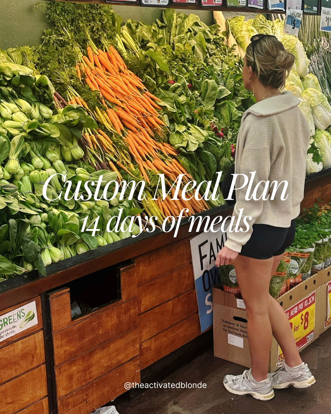 Custom 14 Day Meal Plan