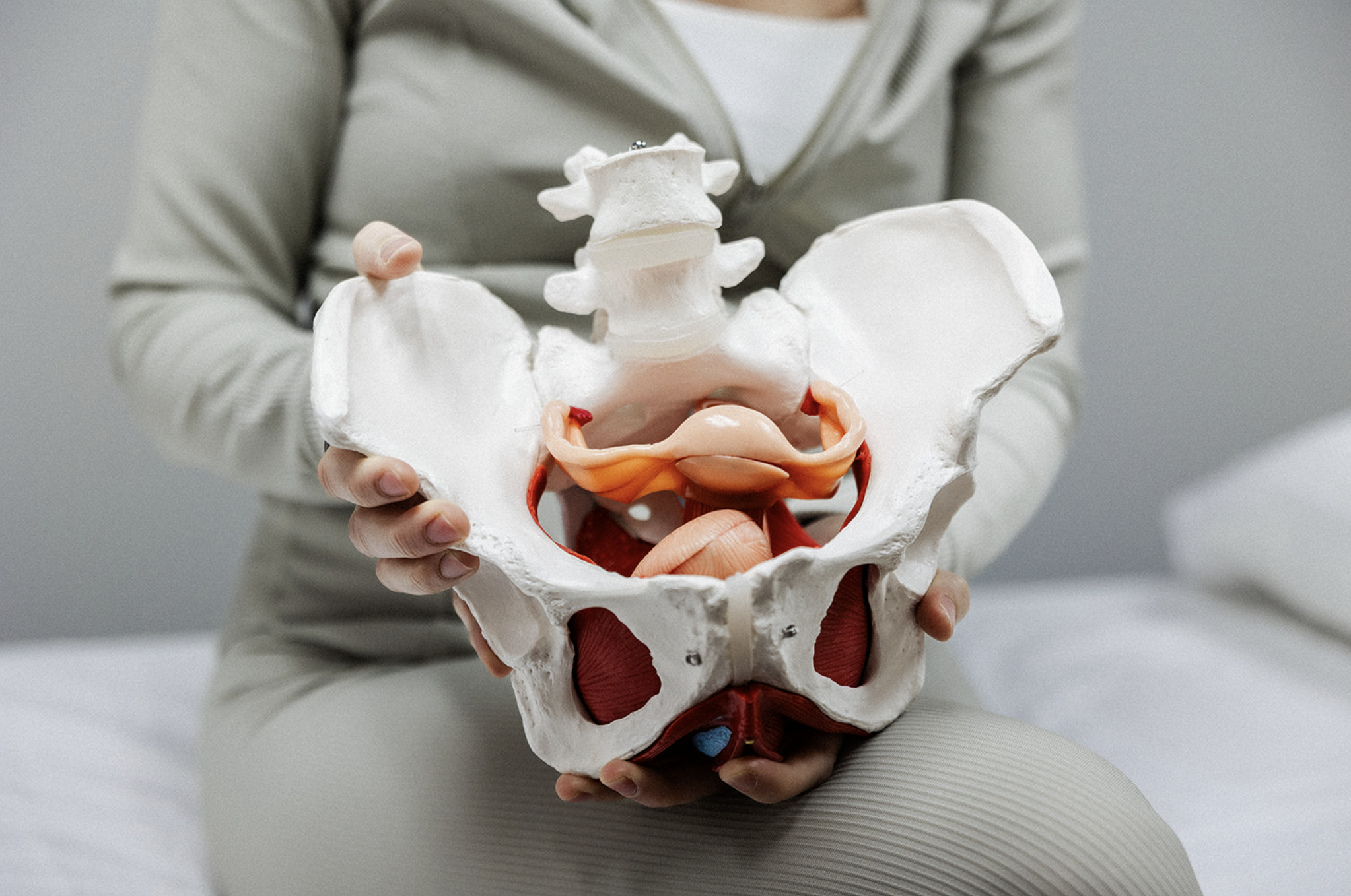 pelvic floor therapy Barrington