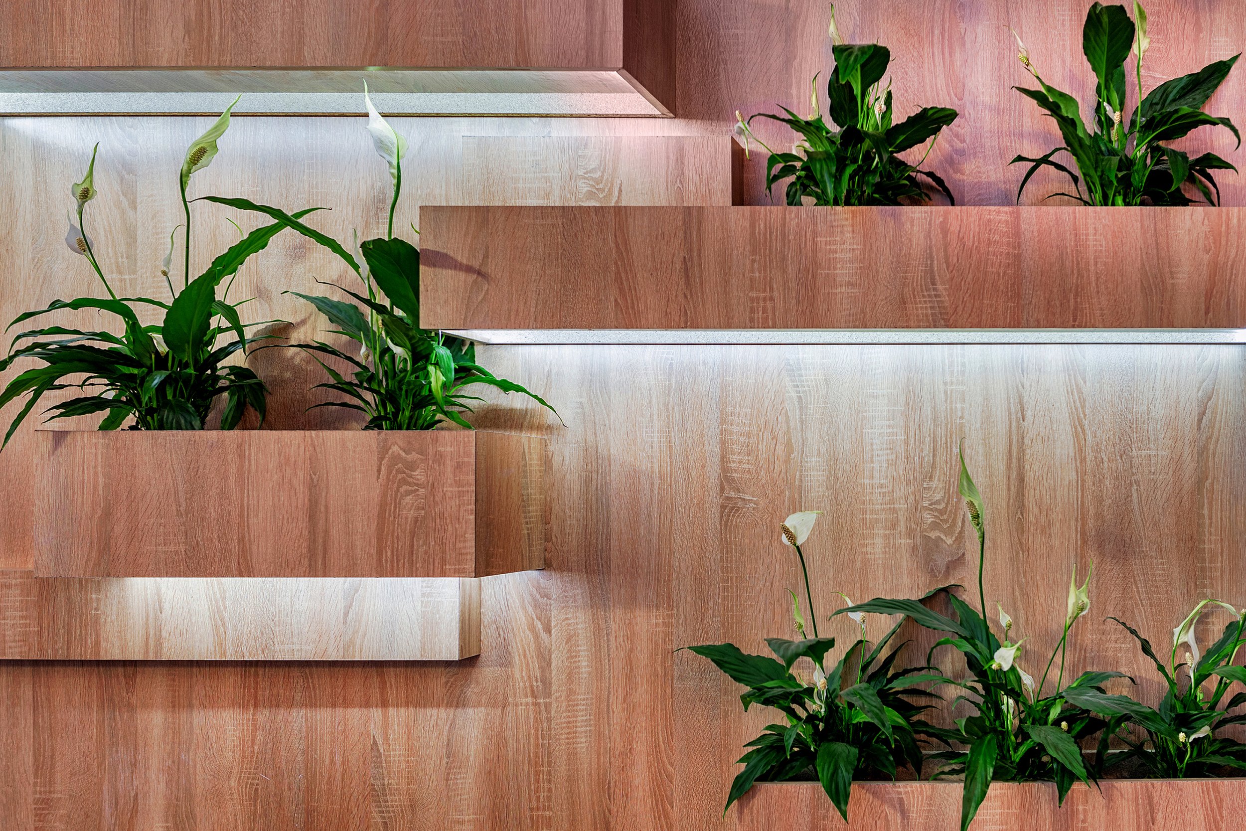 Linear-Shelf-Plants.jpg