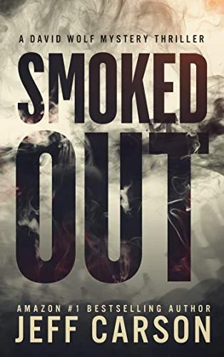 DAVID WOLF SERIES — Jeff Carson Books