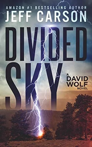 DAVID WOLF SERIES — Jeff Carson Books