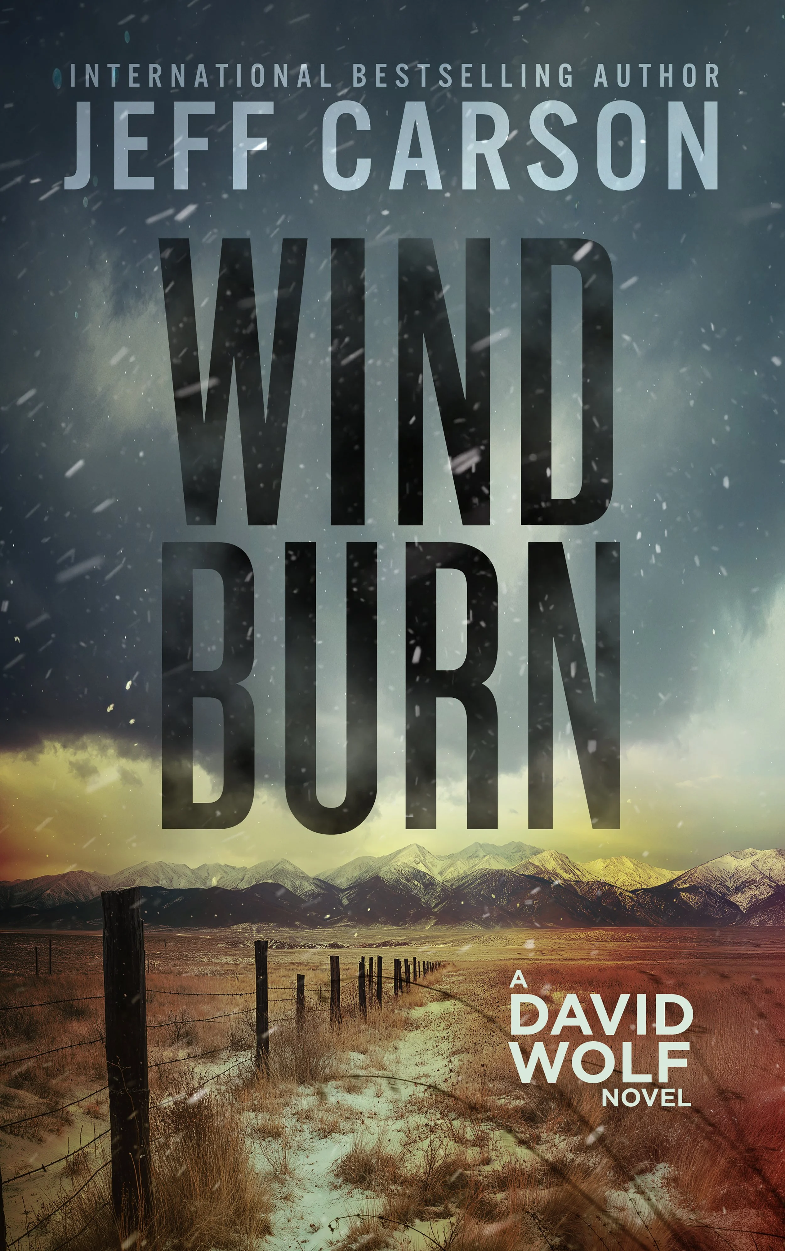 Wind Burn David Wolf Book 19