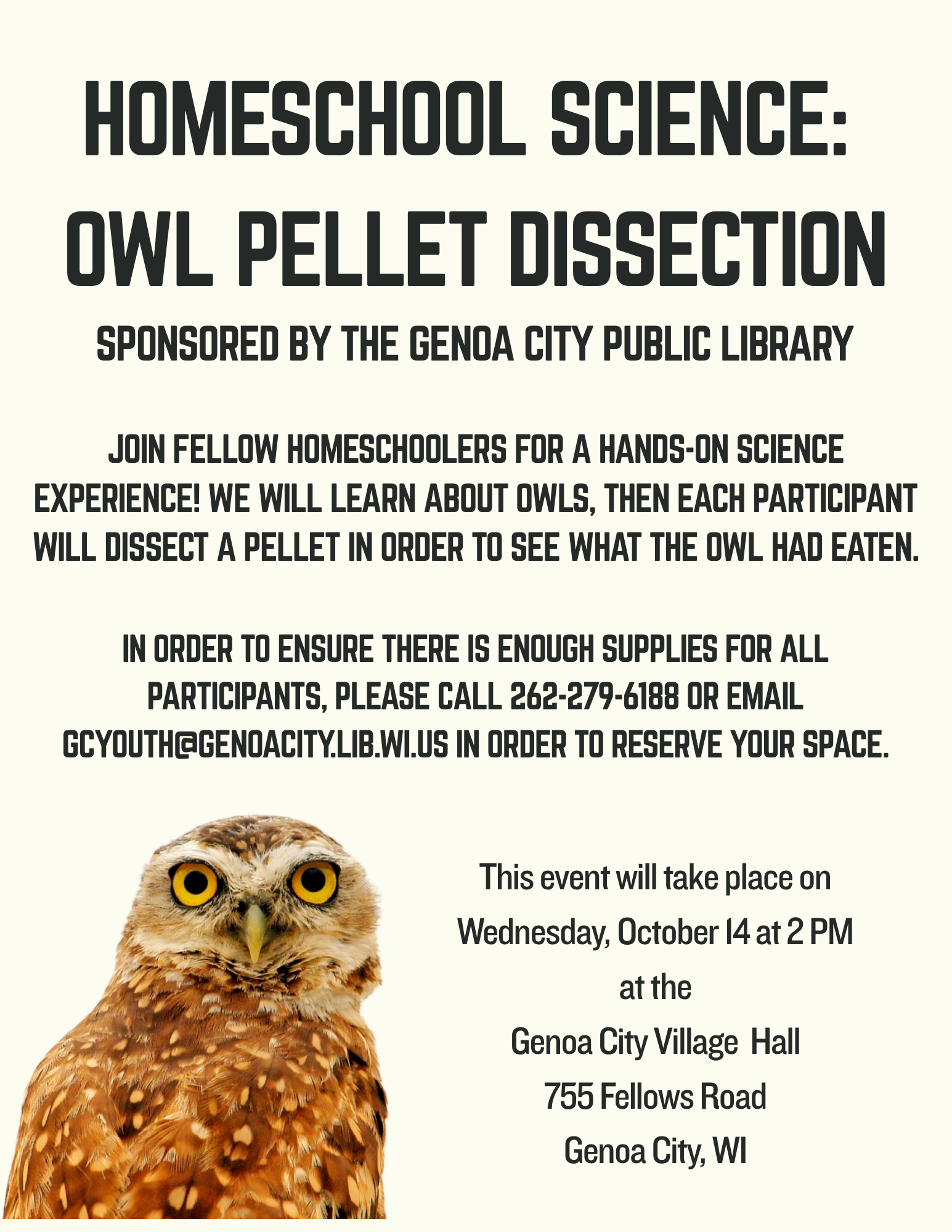 Owl Pellet Dissection.png