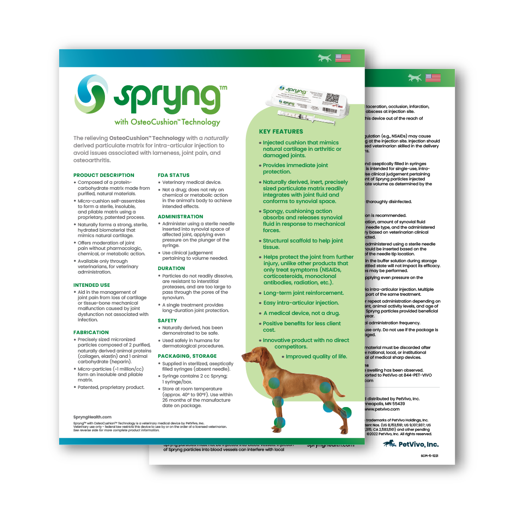 Small animal veterinarian resources — Spryng™ with OsteoCushion™ Technology
