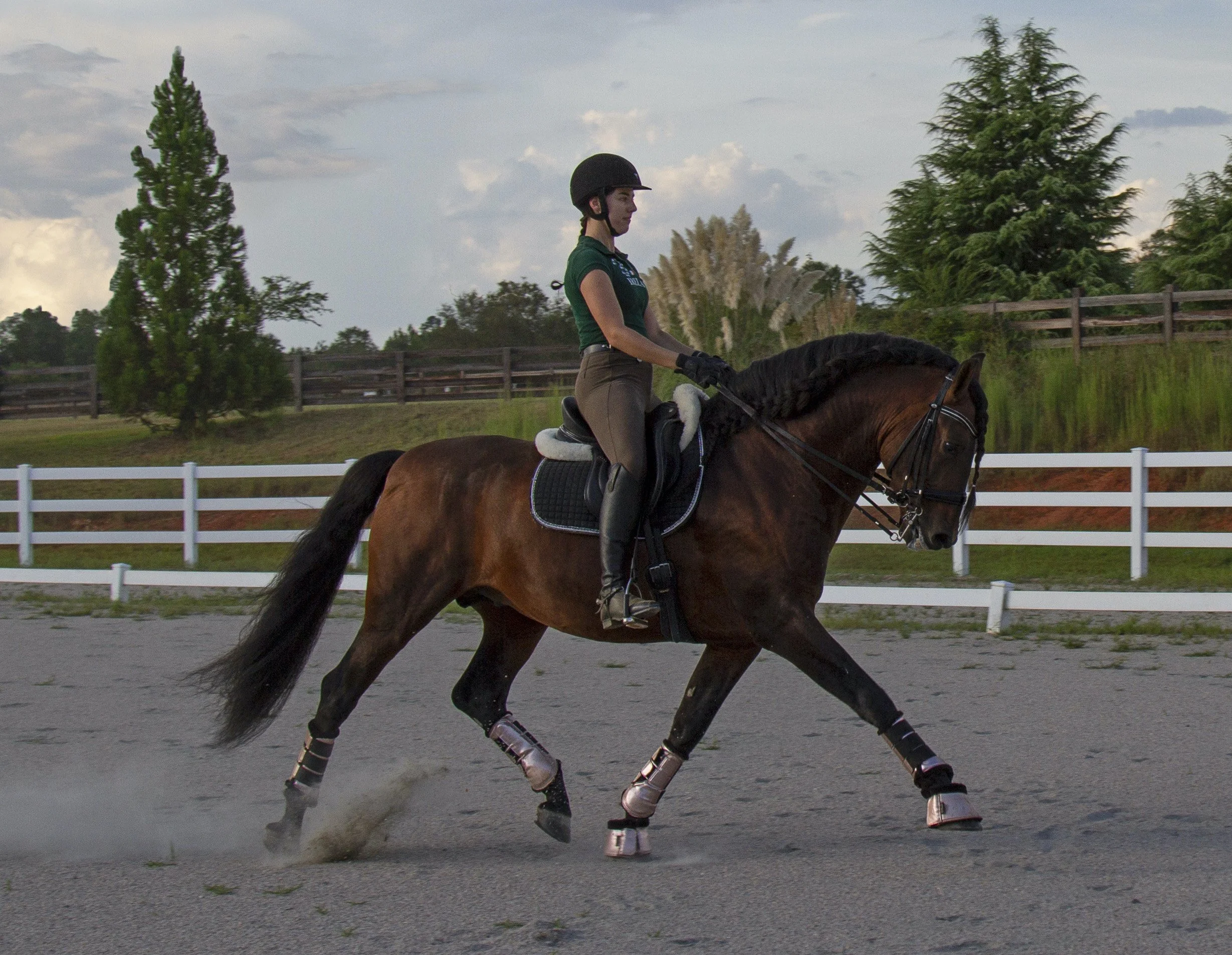A woman riding a horse in an outdoor riding arena during daytime, wearing a helmet, gloves, and riding attire.