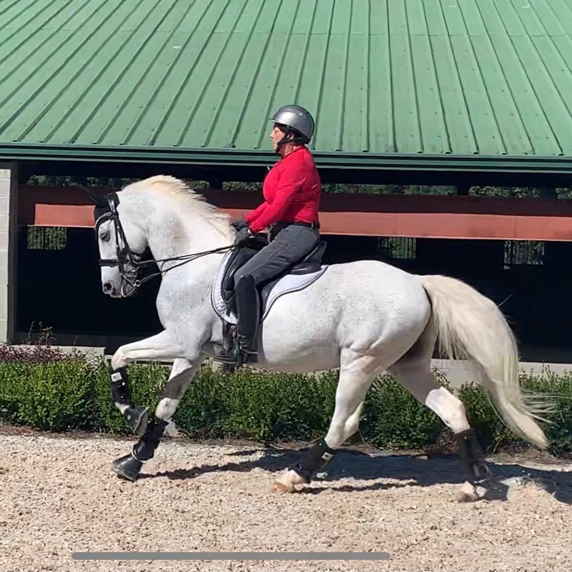 A woman riding a white horse on a sandy path, wearing a red jacket, gray pants, and a black helmet, with a green roof building in the background.