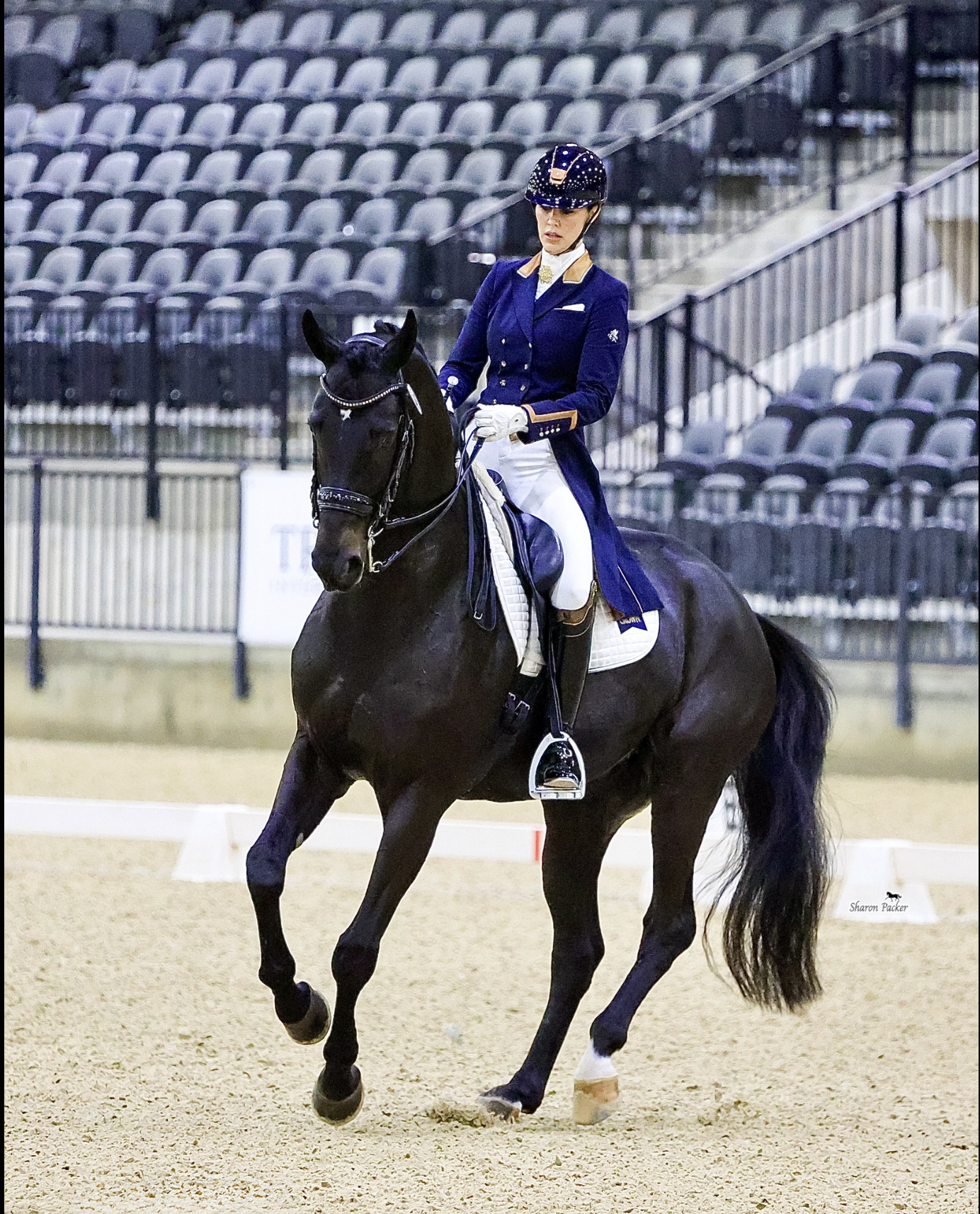 Ashely Marascalco Atlanta Dressage Trainer  dressed in a blue show coat and white breeches riding a black horse Dracarys in an indoor arena, with empty tiered seating in the background.