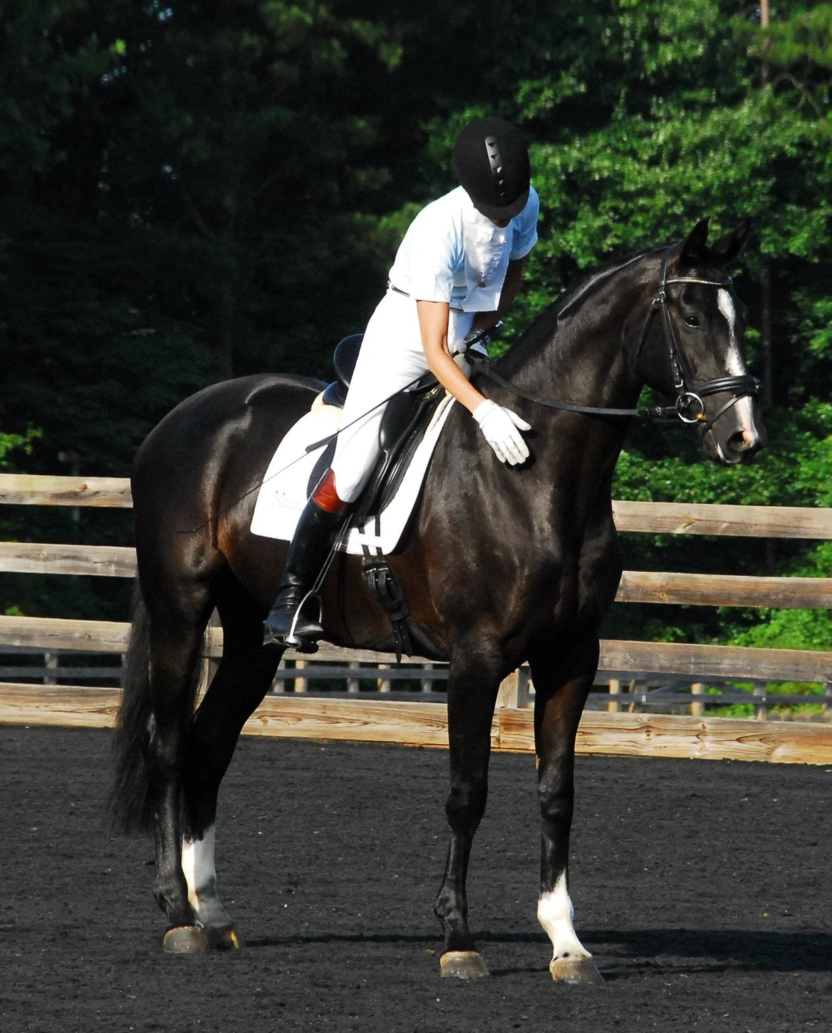 A person in a white riding outfit and black helmet riding a dark brown horse with white markings on its face and legs, on a black dirt racetrack with green trees in the background.