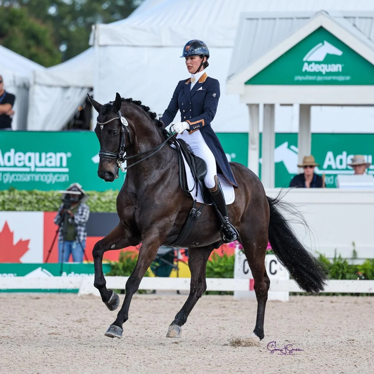 Female equestrian in formal riding attire on dark brown horse during a dressage competition at Adequan event.