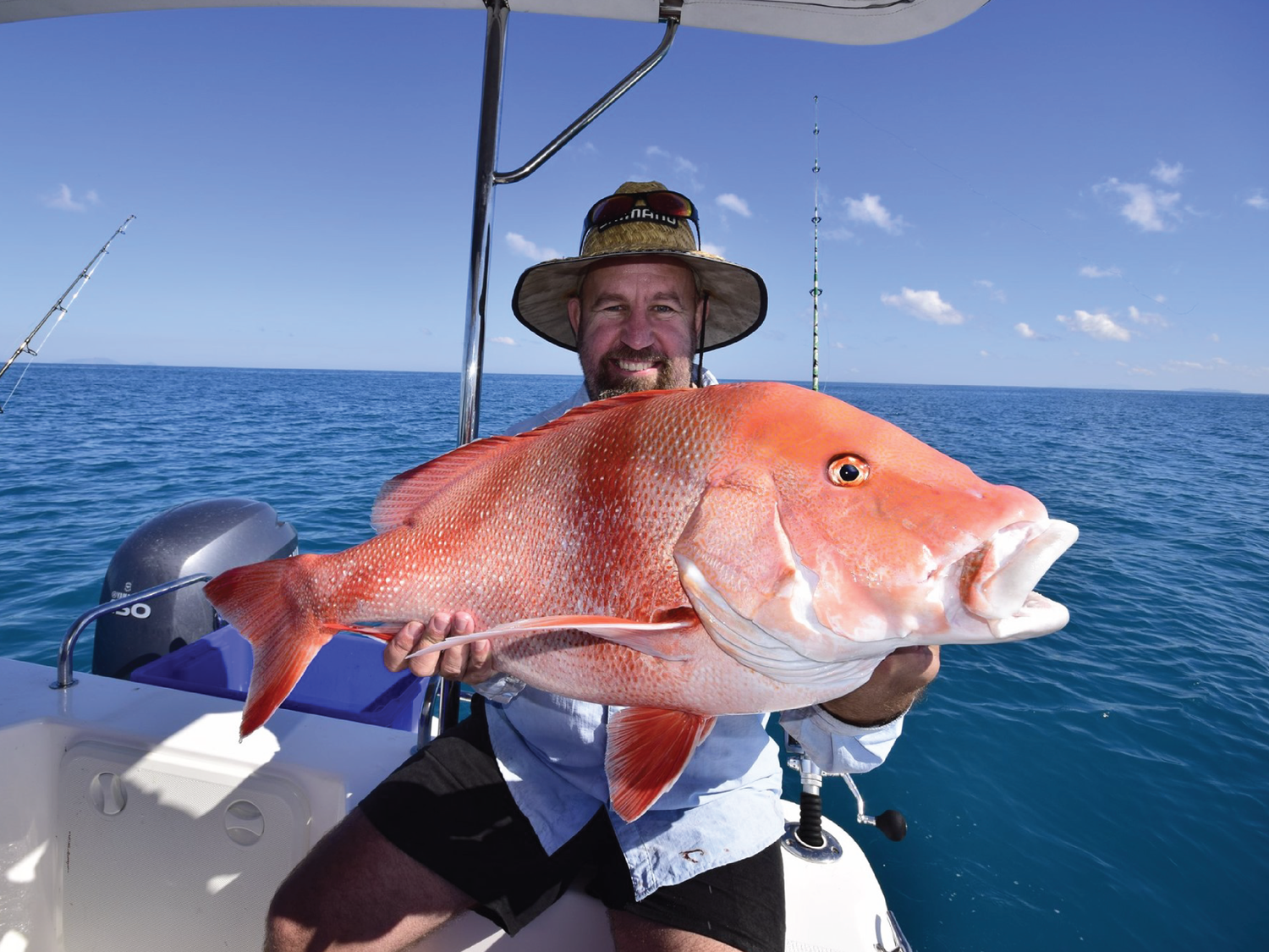 Red Emperor — Hooked on Mackay