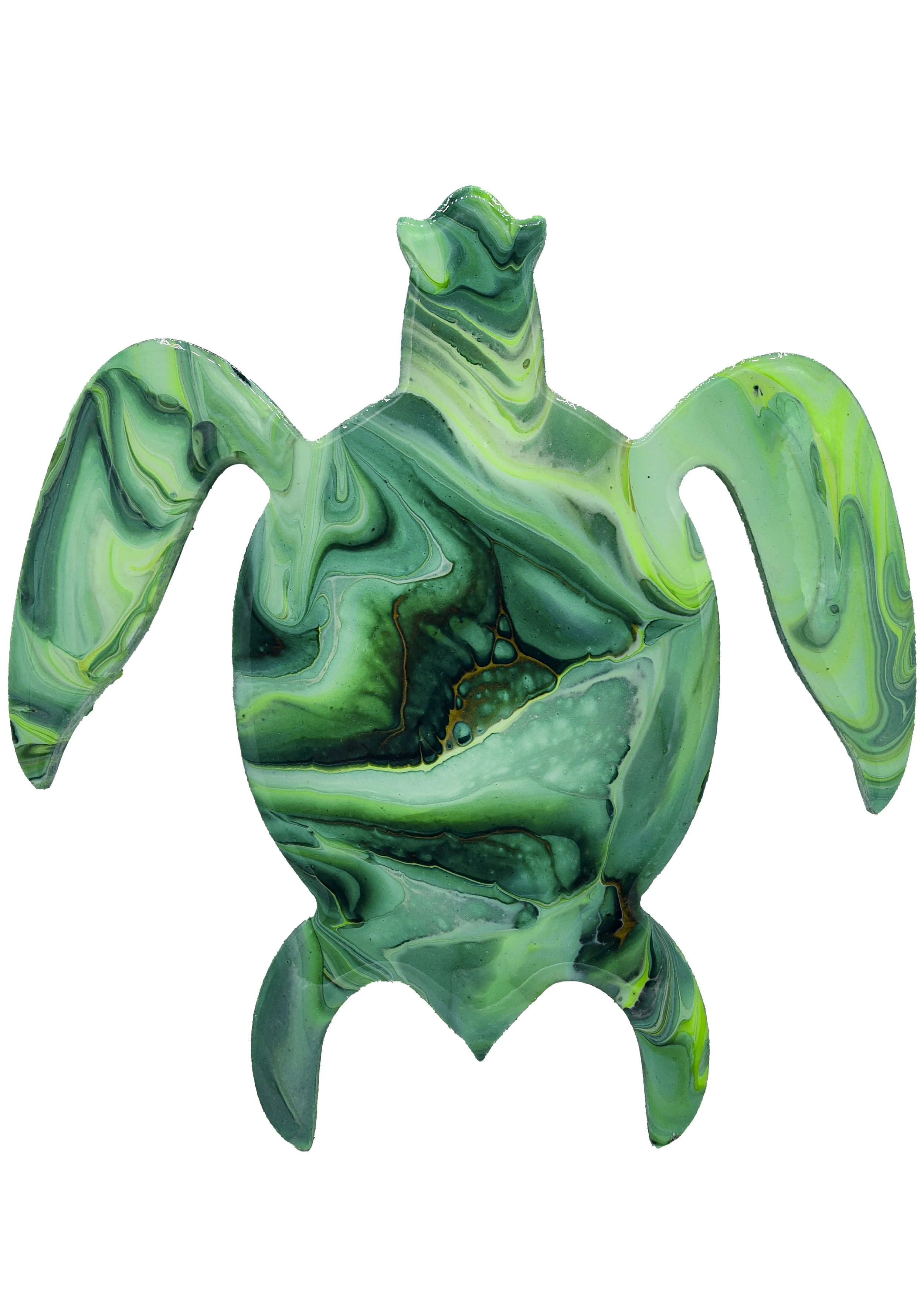 Turtle.jpg