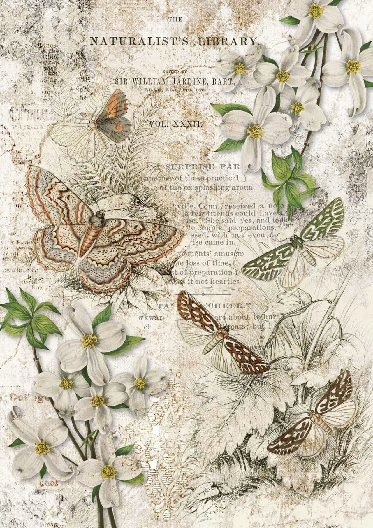 DQRP_0147_Naturalist_Library__18254.1635630082.jpg