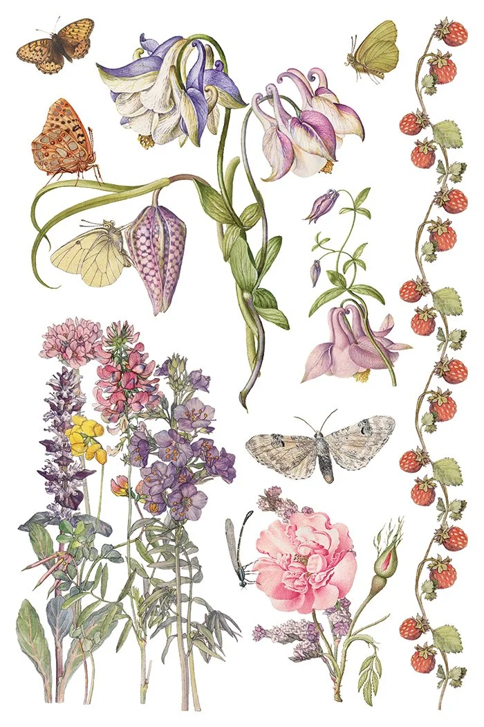 IOD-TRA-PRM Primrose Isle artwork page 7 small.jpg