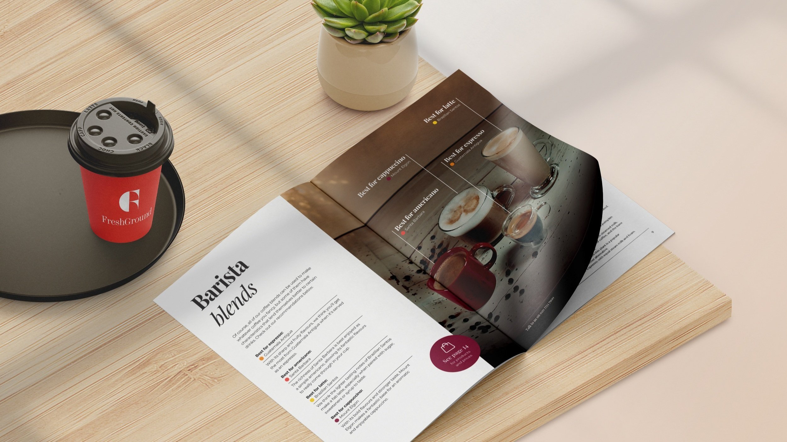 SpillingtheBeans_Brochure_Mockup_Spread.jpg