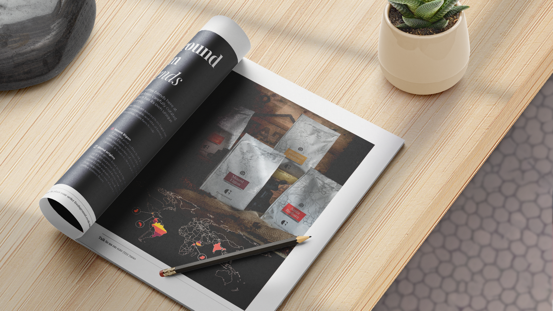 SpillingtheBeans_Brochure_Mockup.png