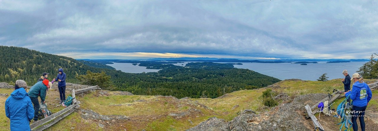 orcas2022- - 32.jpeg