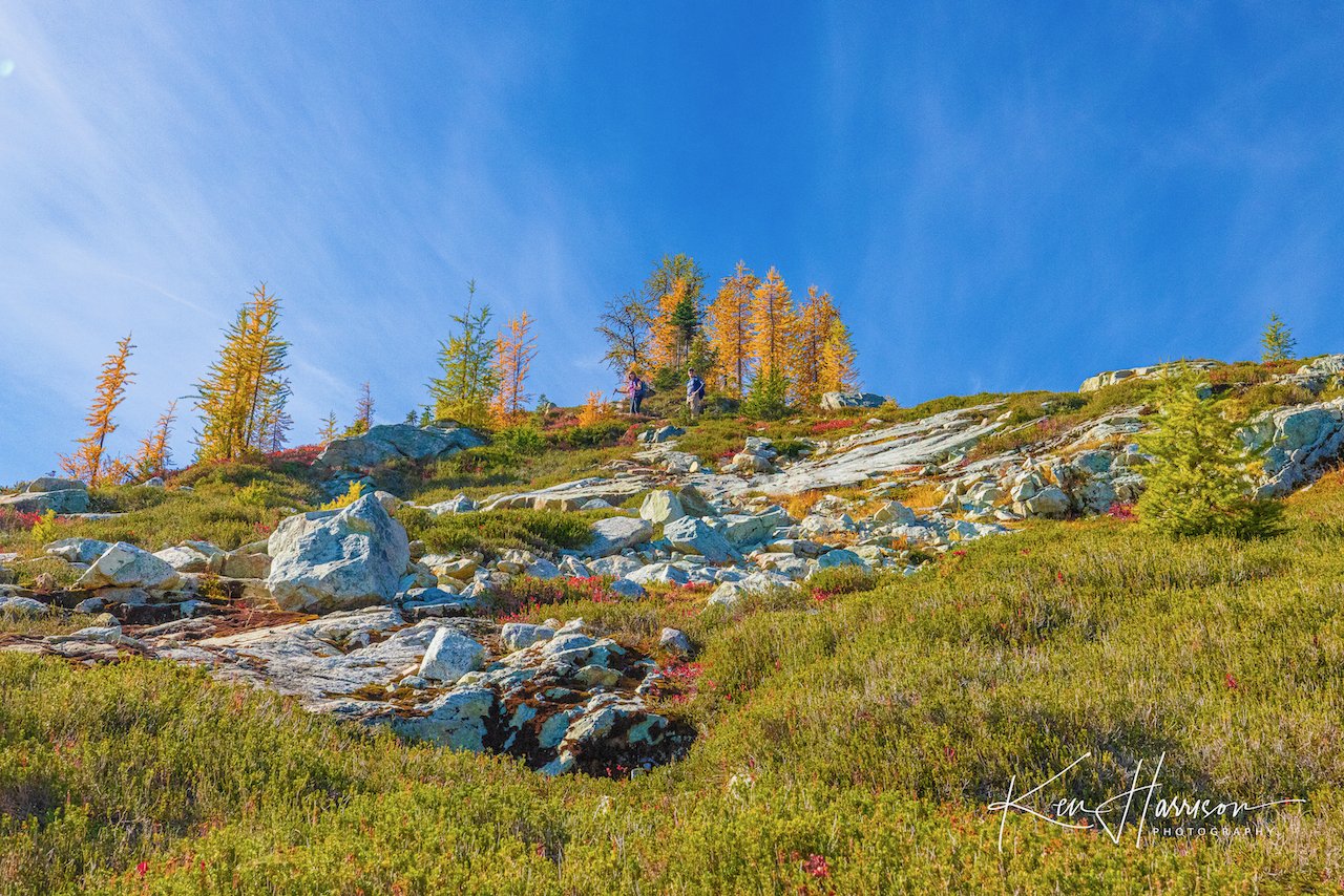 maplepass2022flkr - 17.jpeg