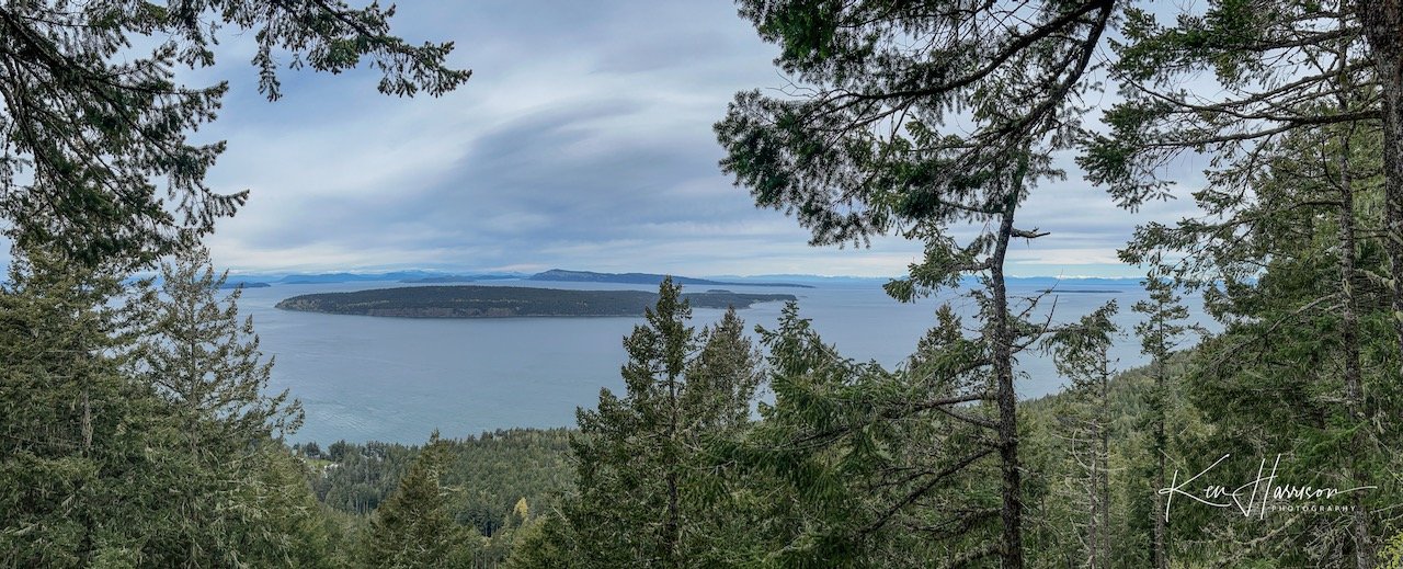 orcas2022- - 10.jpeg